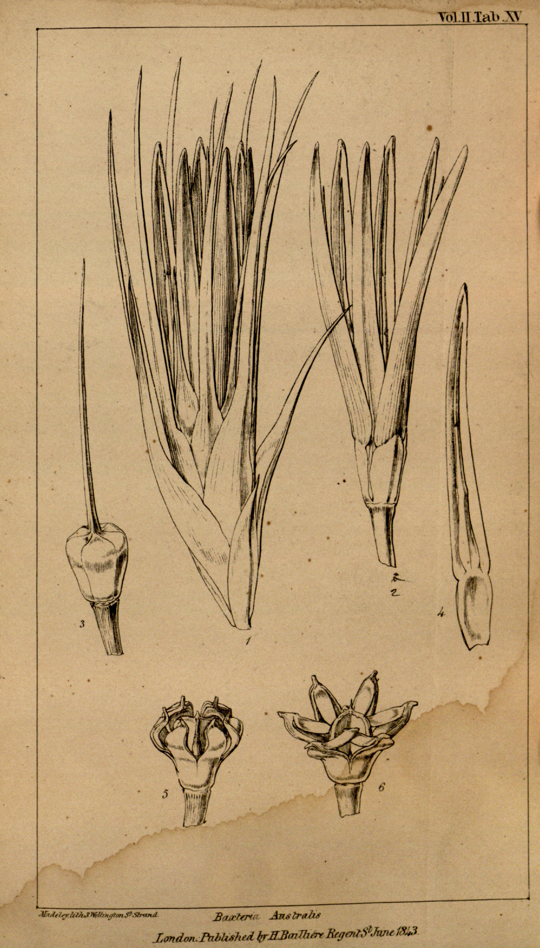 no full size  illustration available (3a)