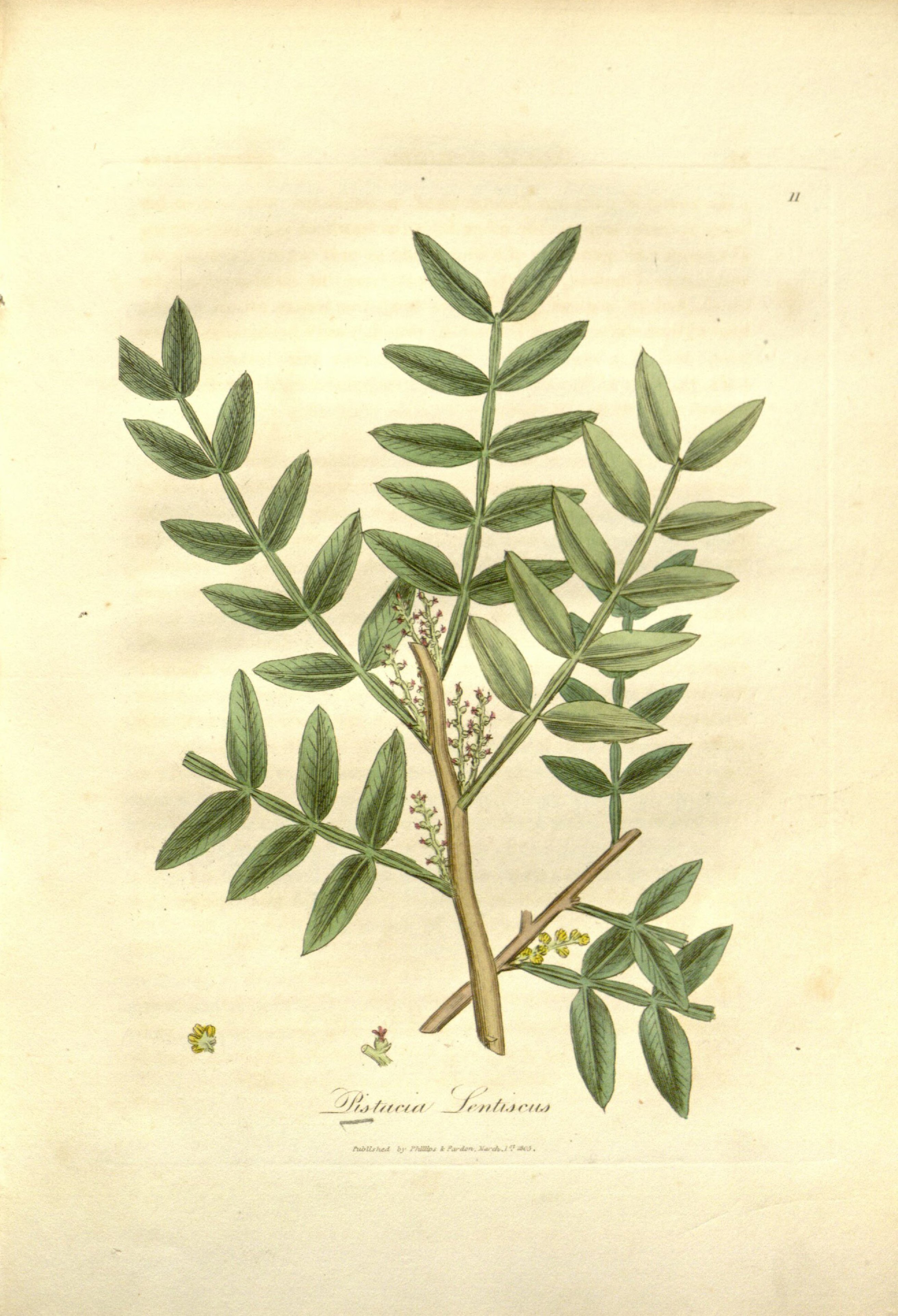 no full size  illustration available (3a)