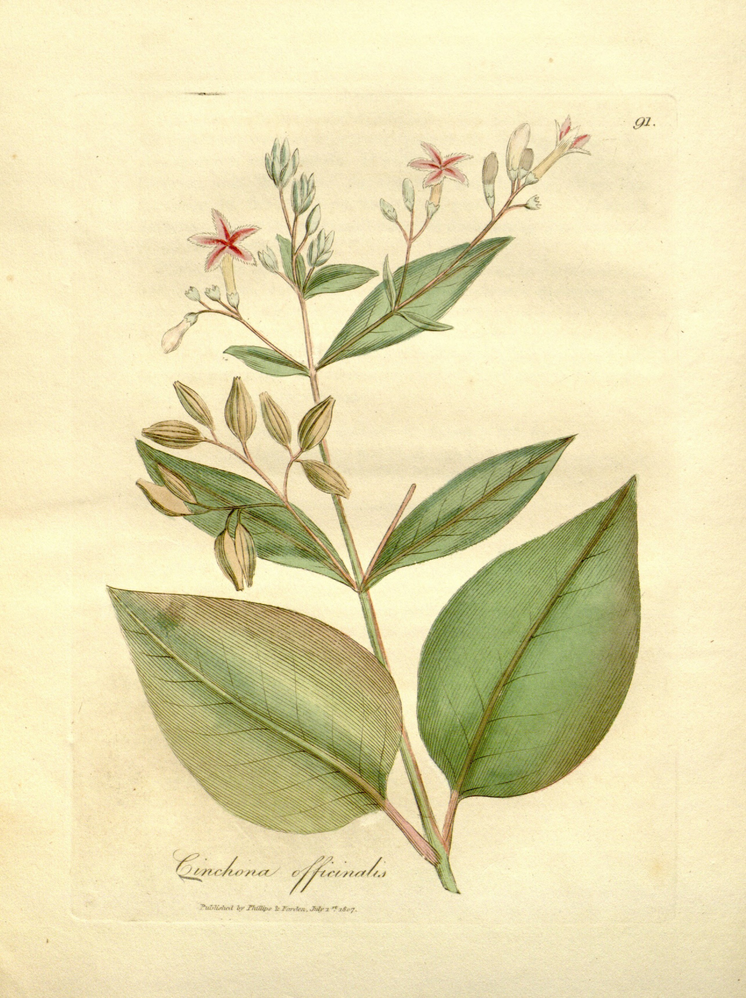 no full size  illustration available (3a)