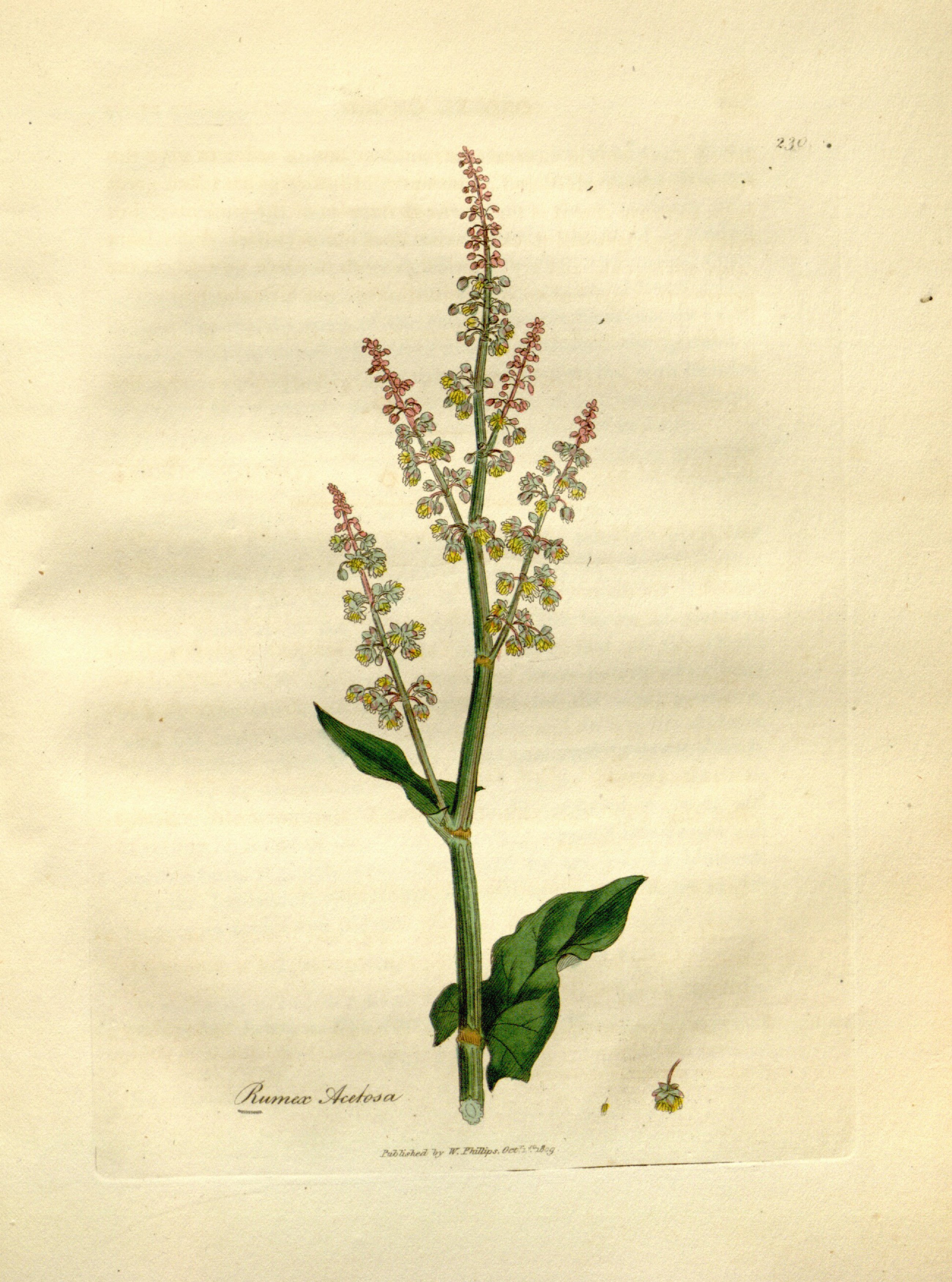 no full size  illustration available (3a)