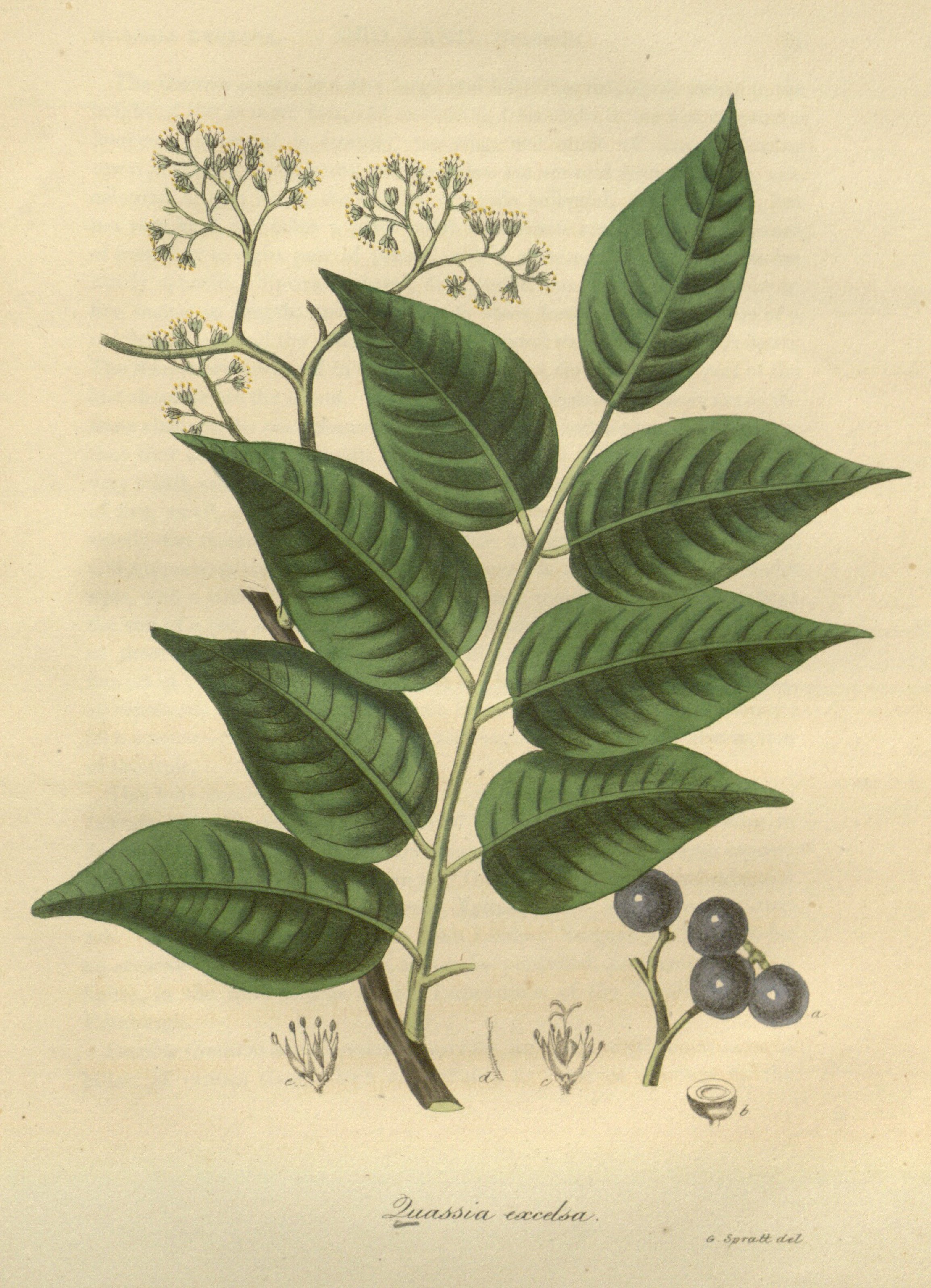 no full size  illustration available (3a)