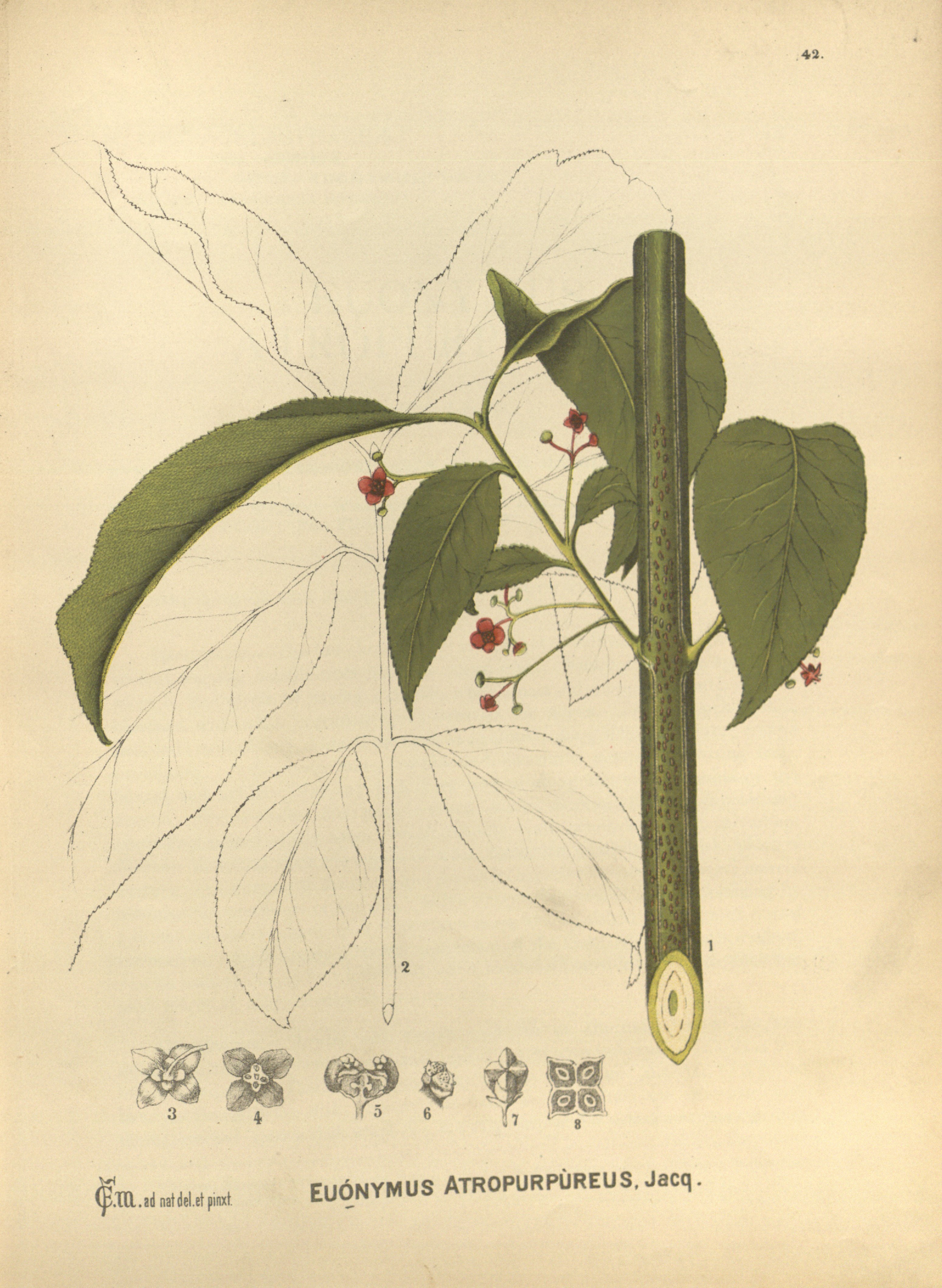 no full size  illustration available (3a)