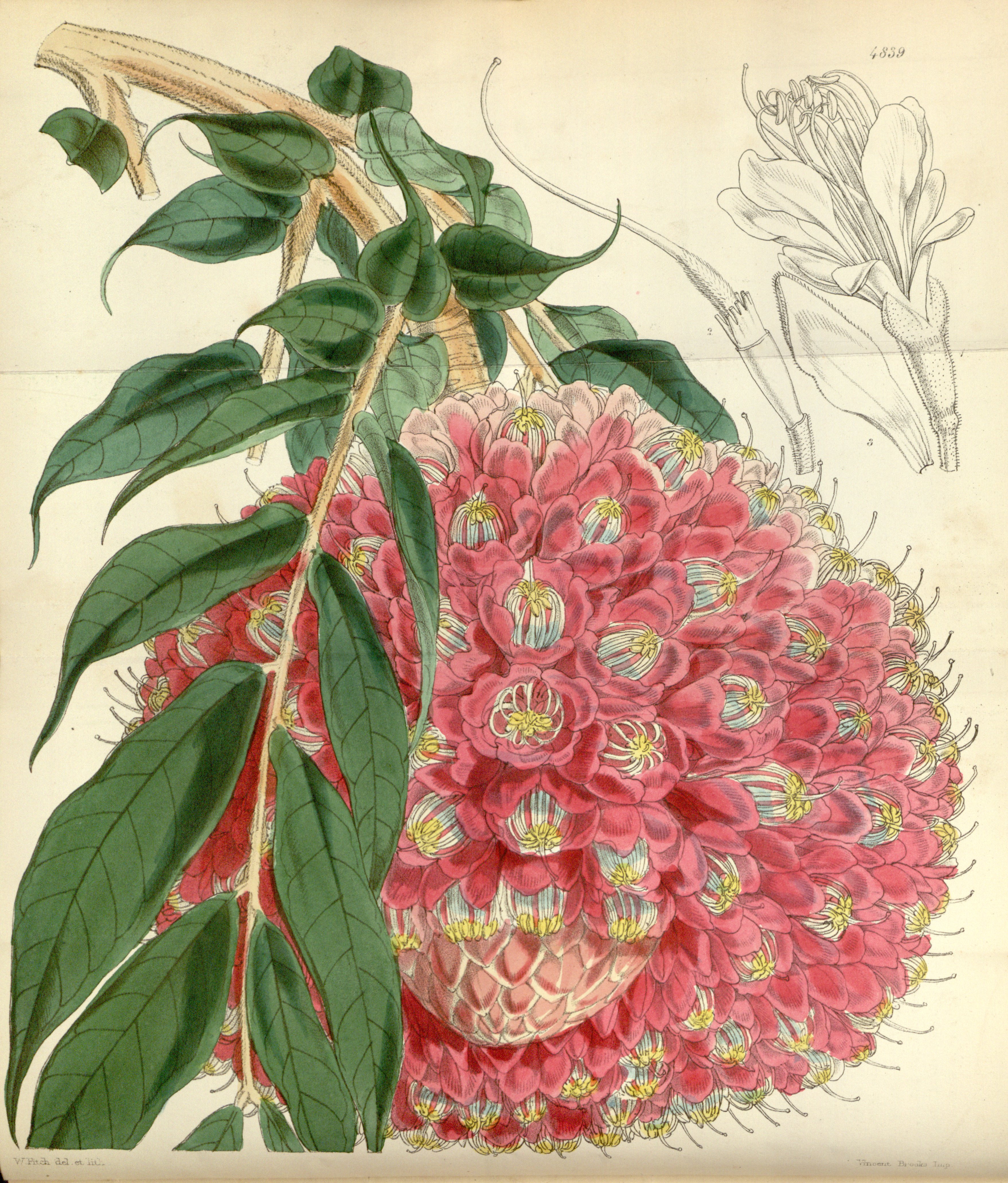 no full size  illustration available (3a)