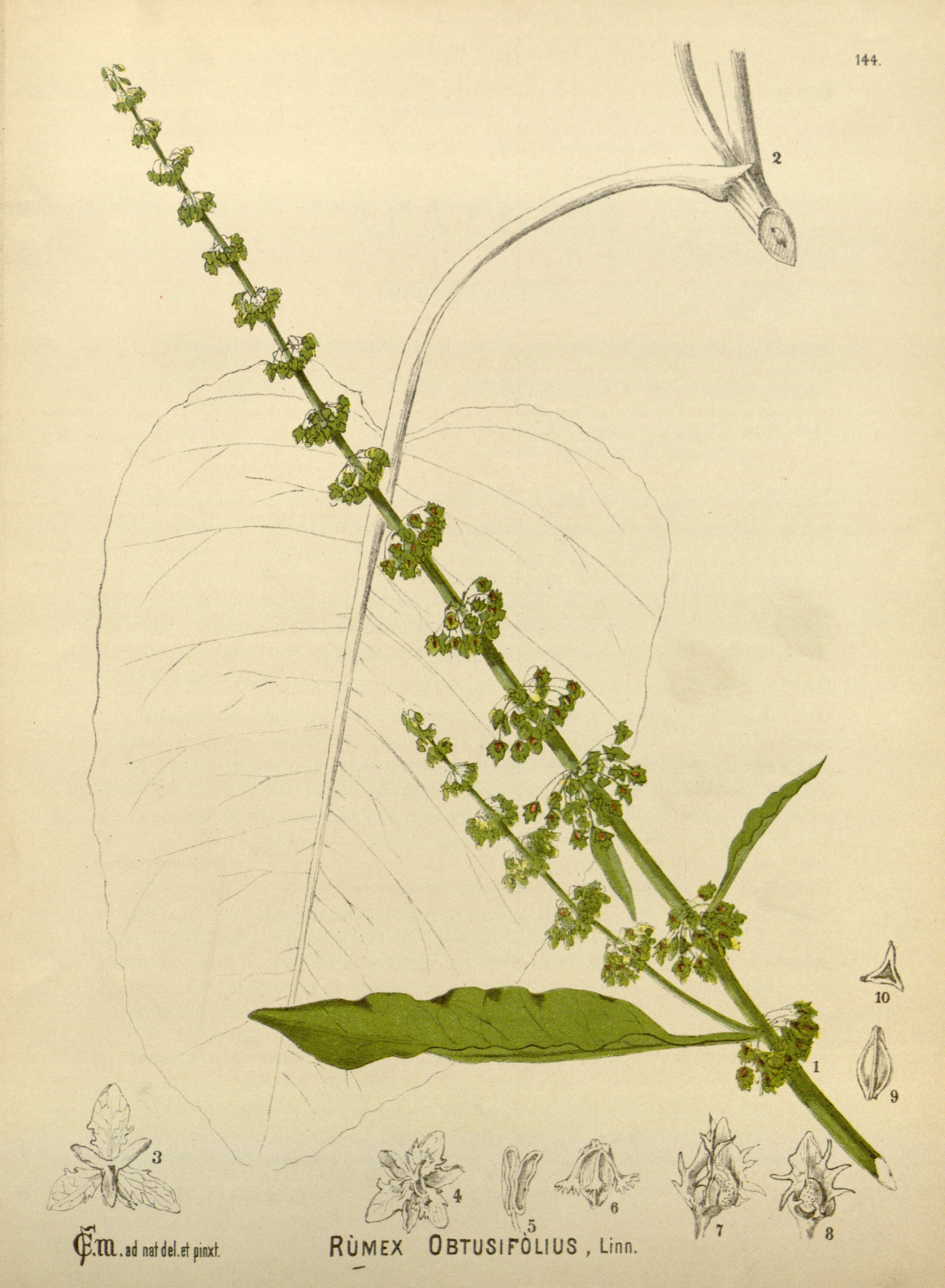 no full size  illustration available (3a)