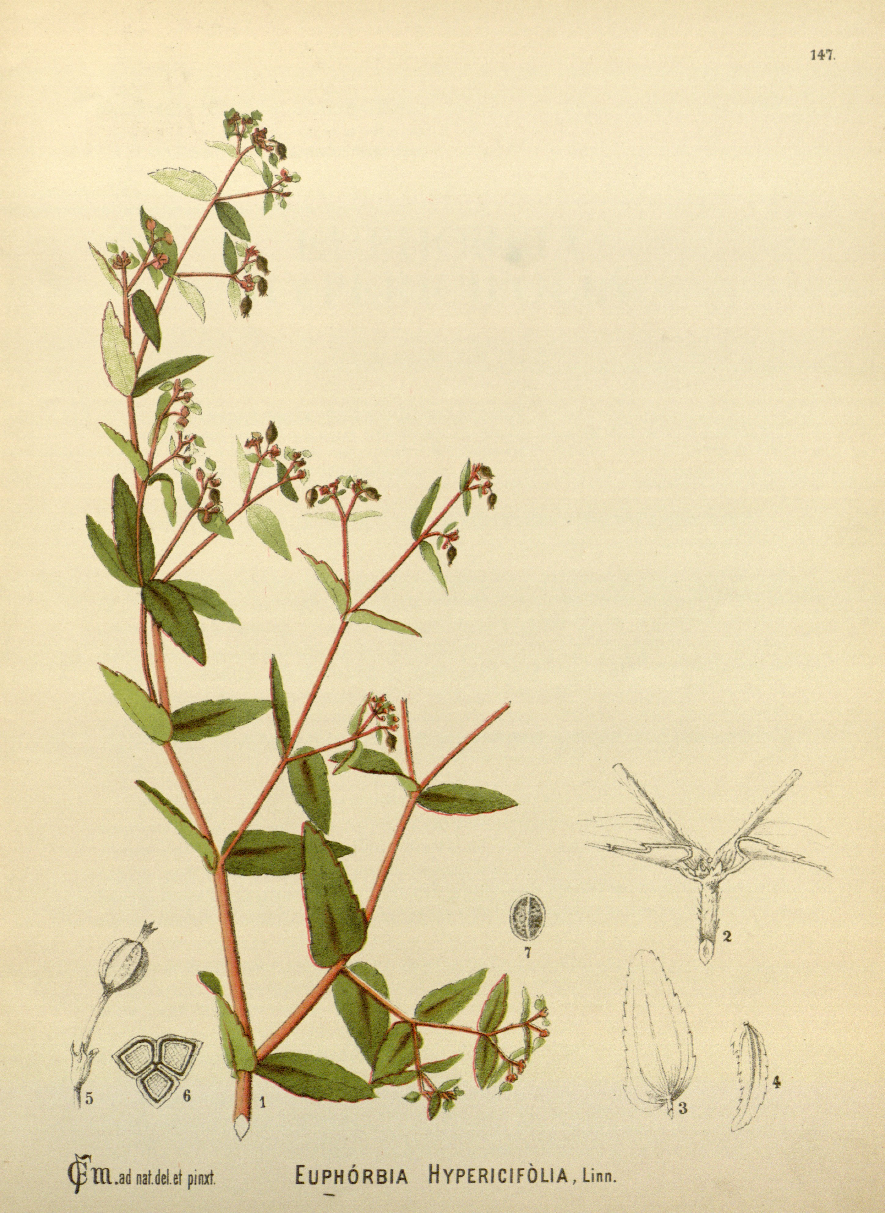 no full size  illustration available (3a)