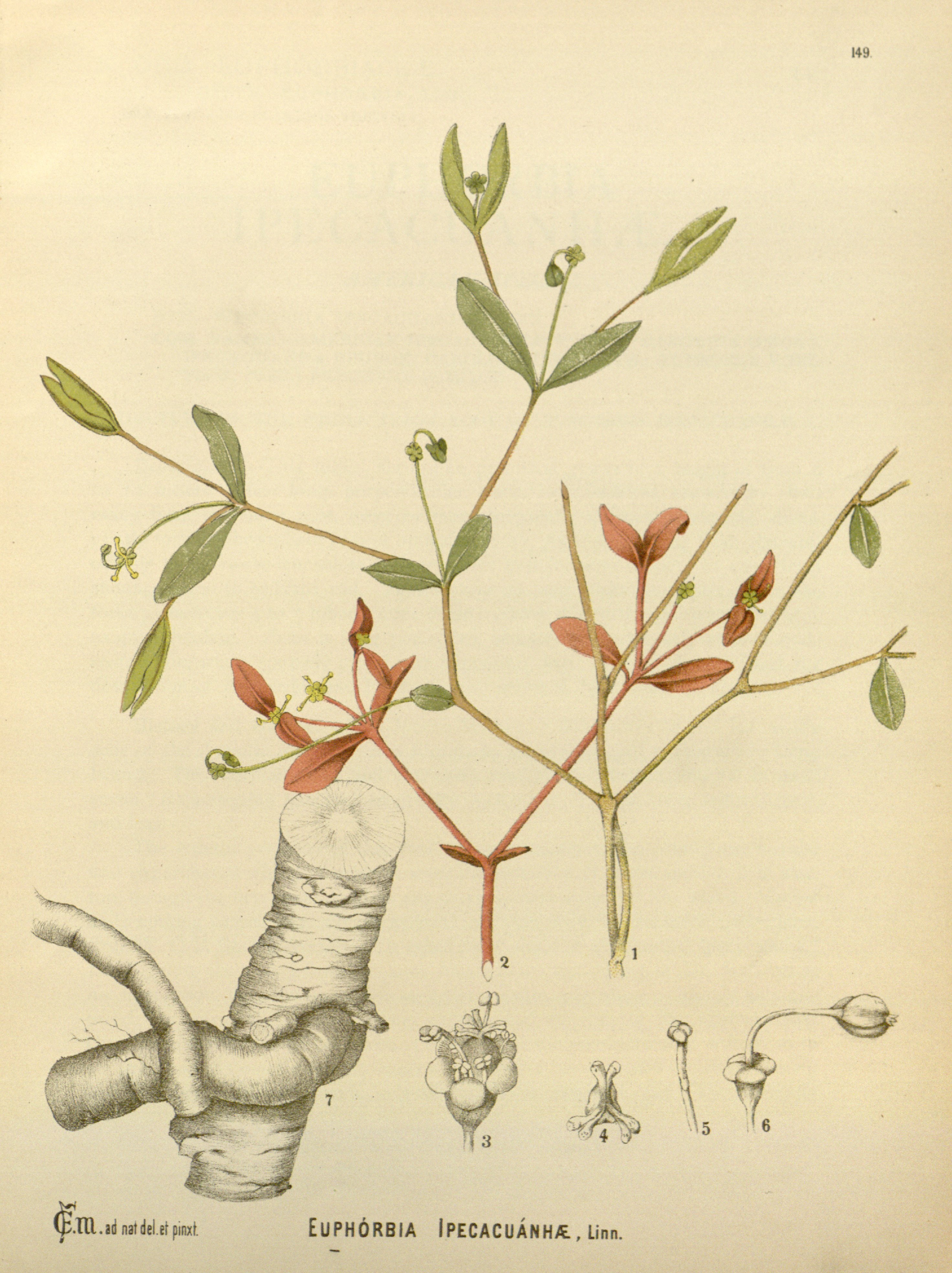 no full size  illustration available (3a)