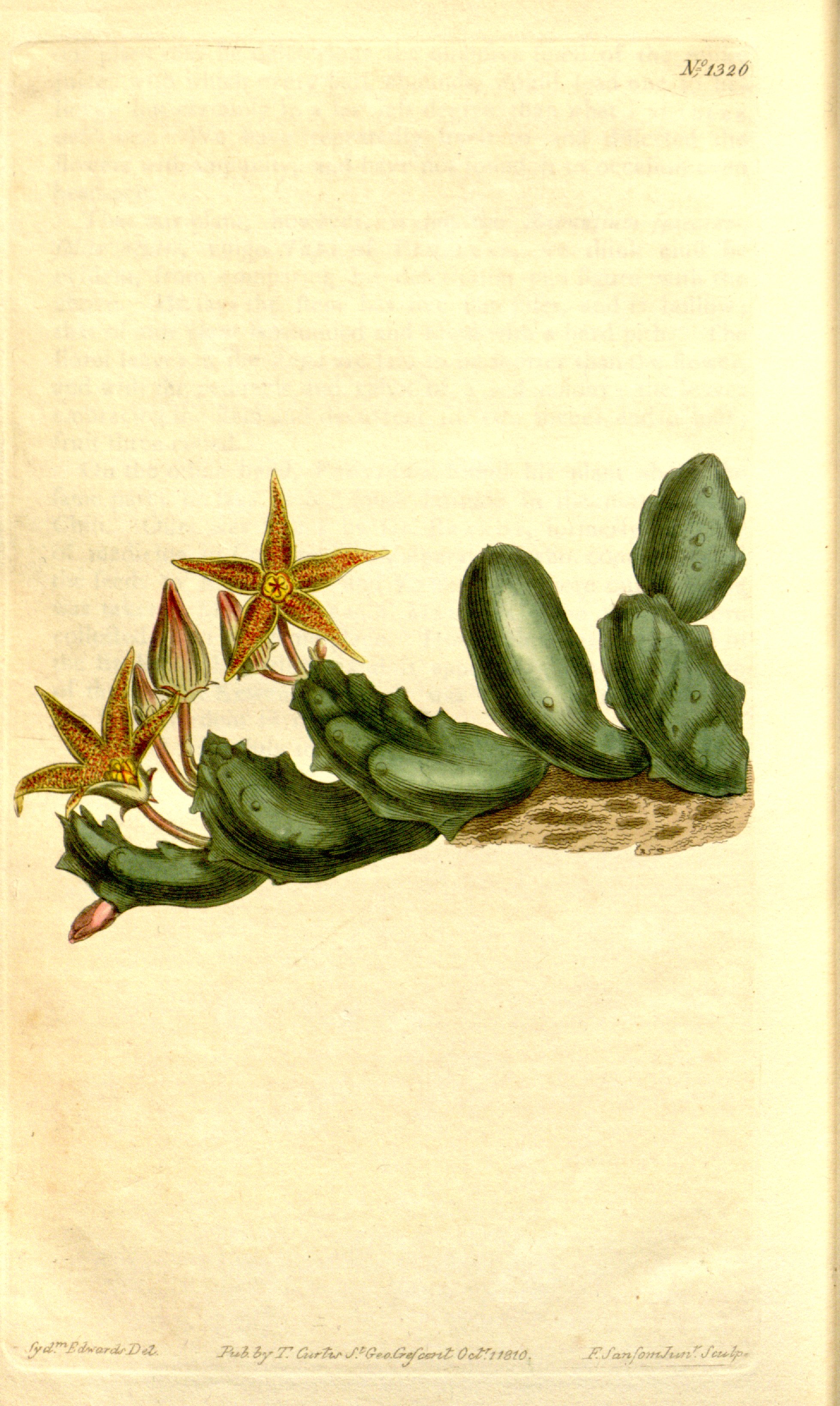 no full size  illustration available (3a)