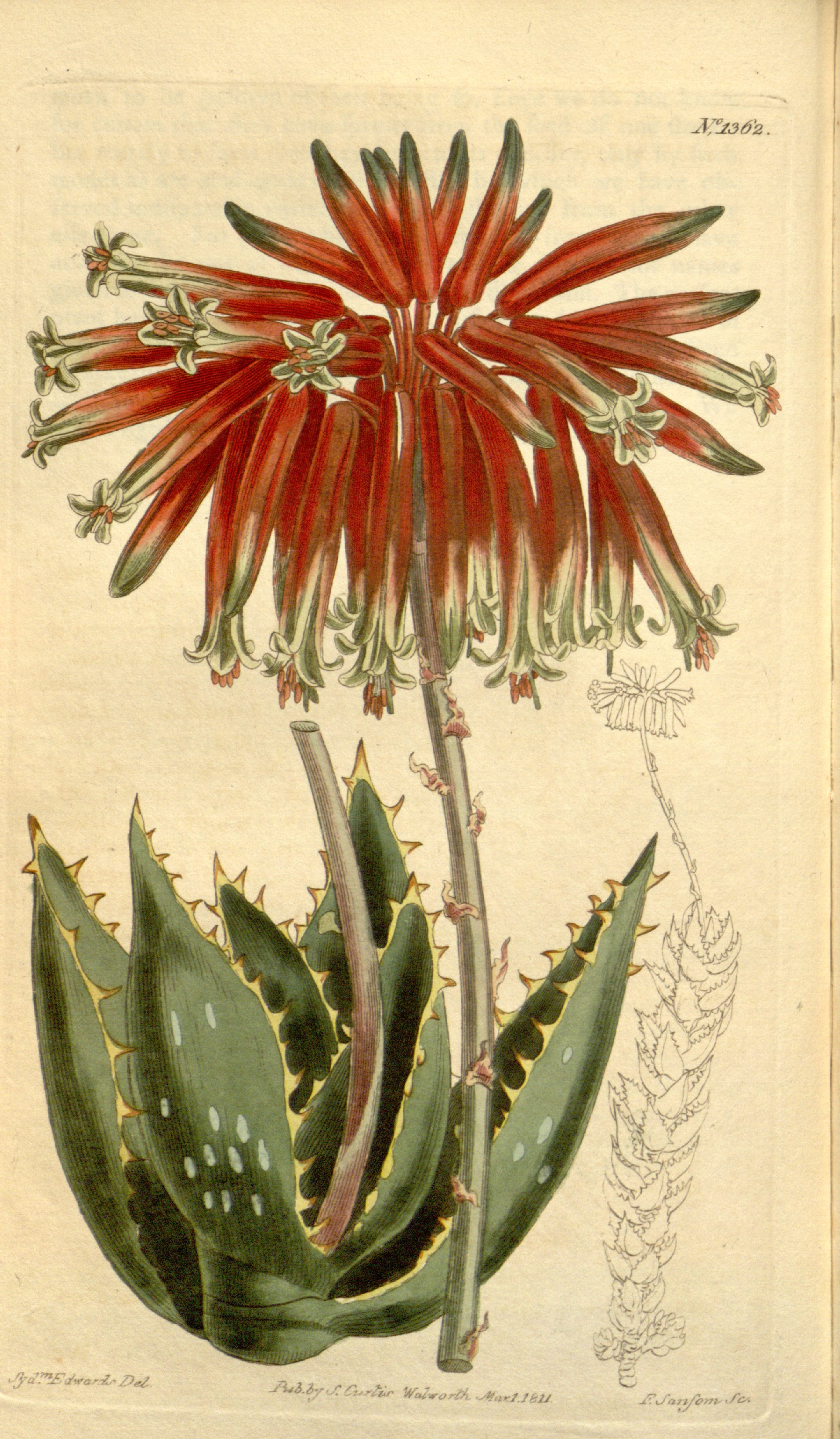 no full size  illustration available (3a)