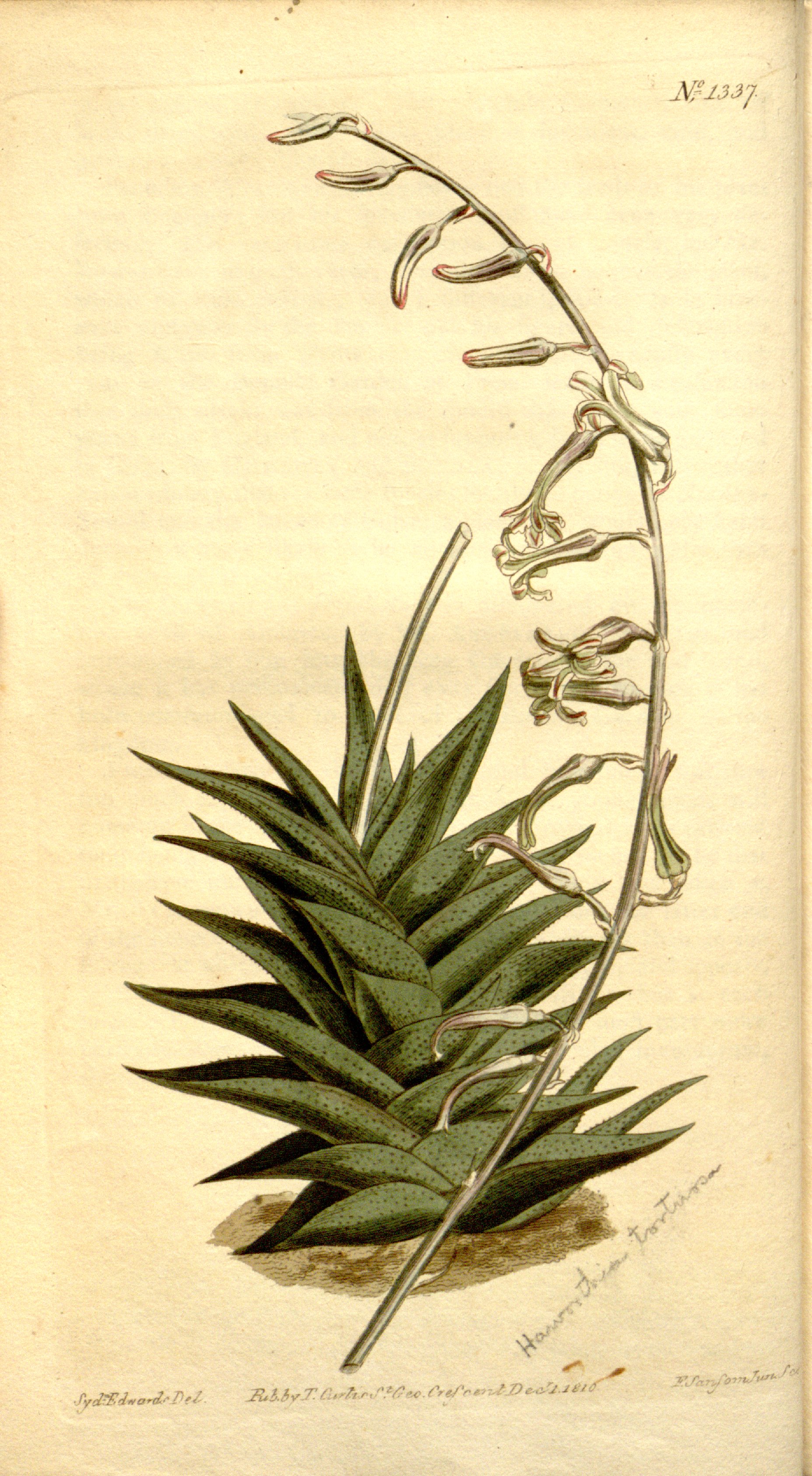 no full size  illustration available (3a)