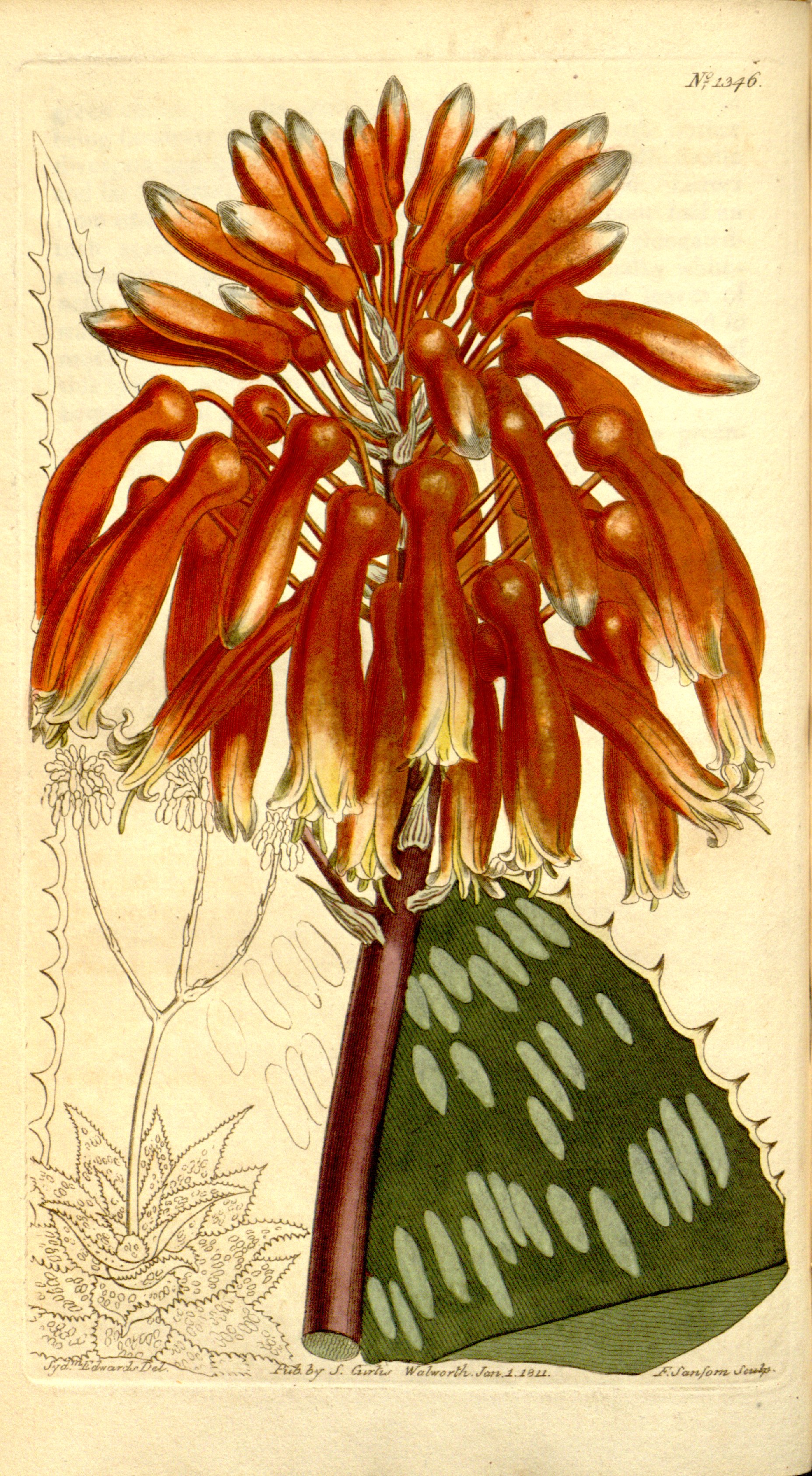 no full size  illustration available (3a)