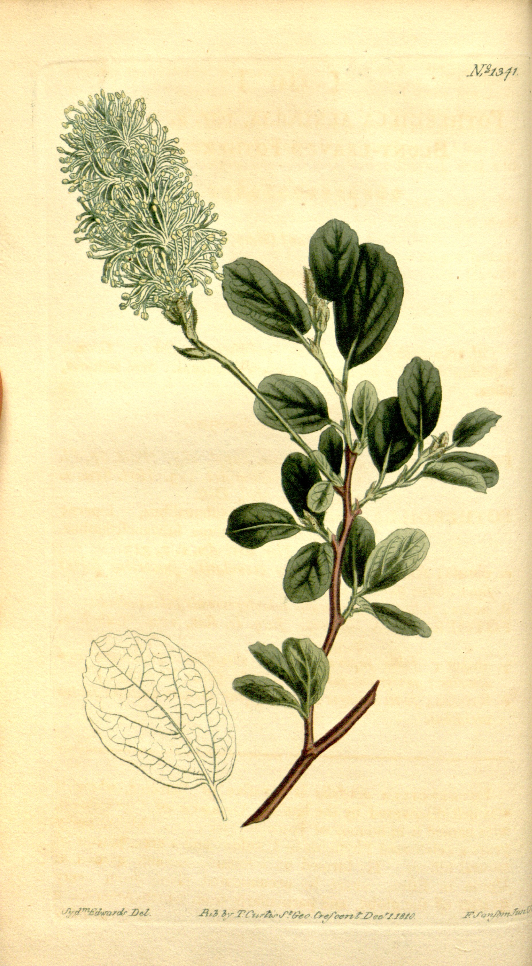 no full size  illustration available (3a)