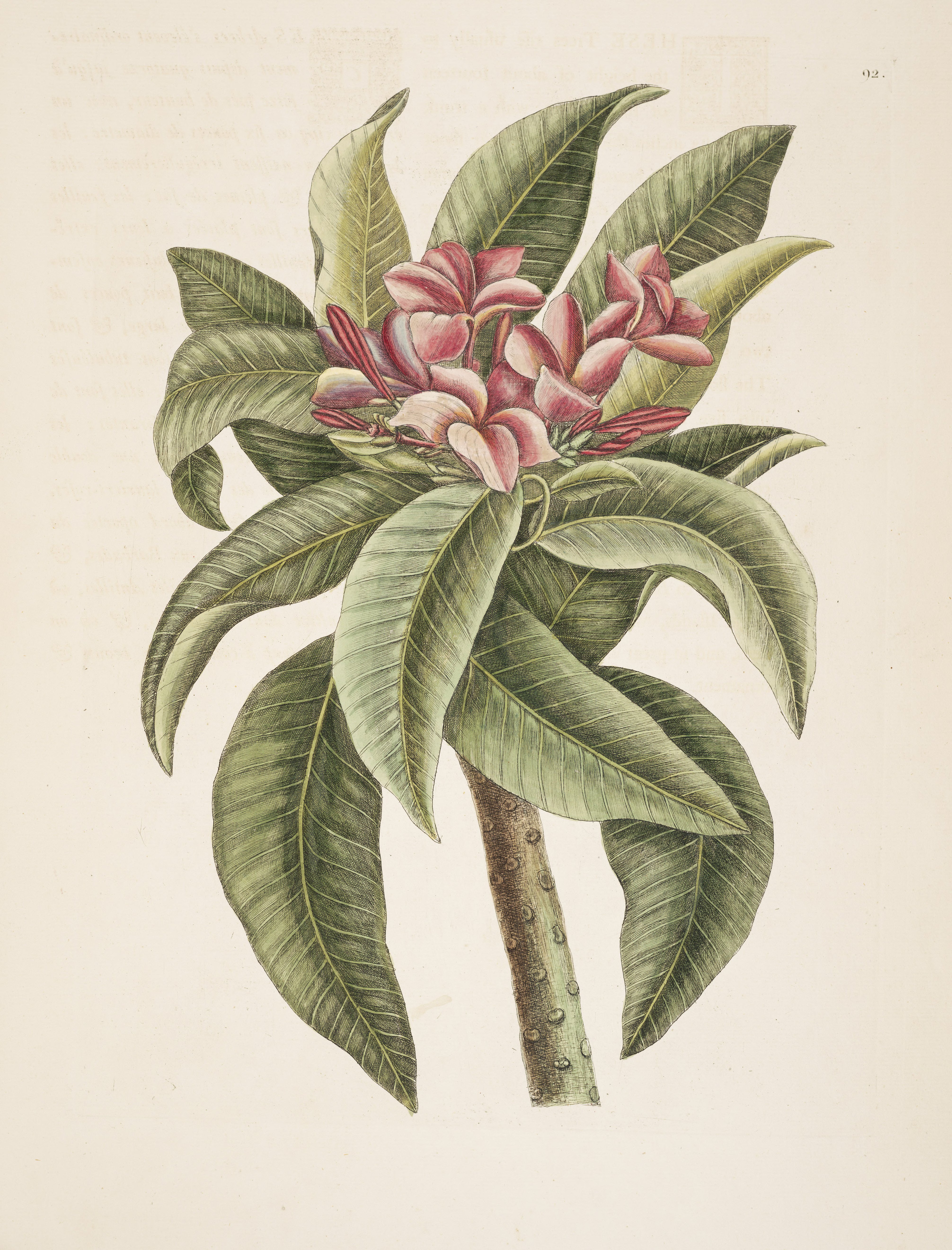 no full size  illustration available (3a)