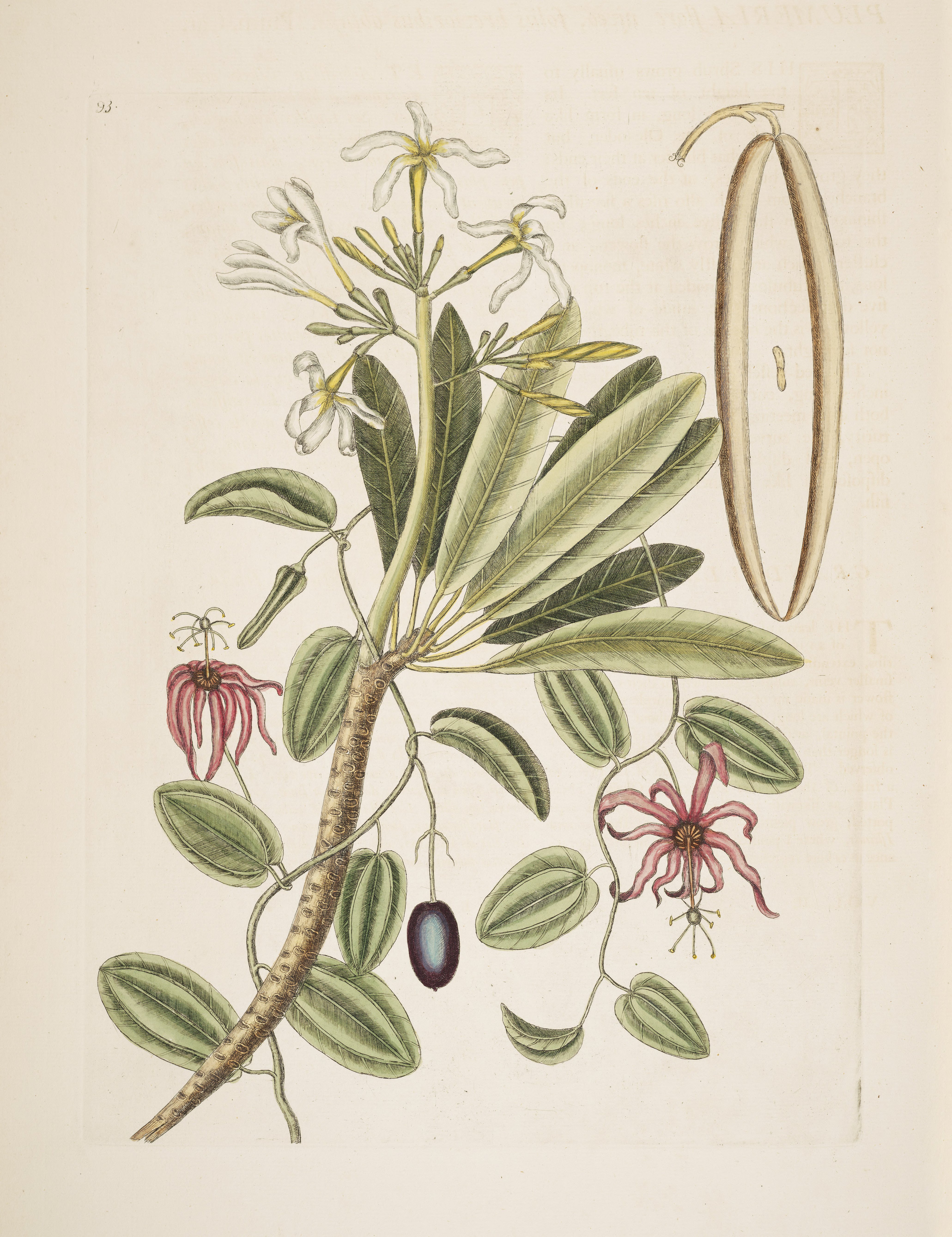 no full size  illustration available (3a)