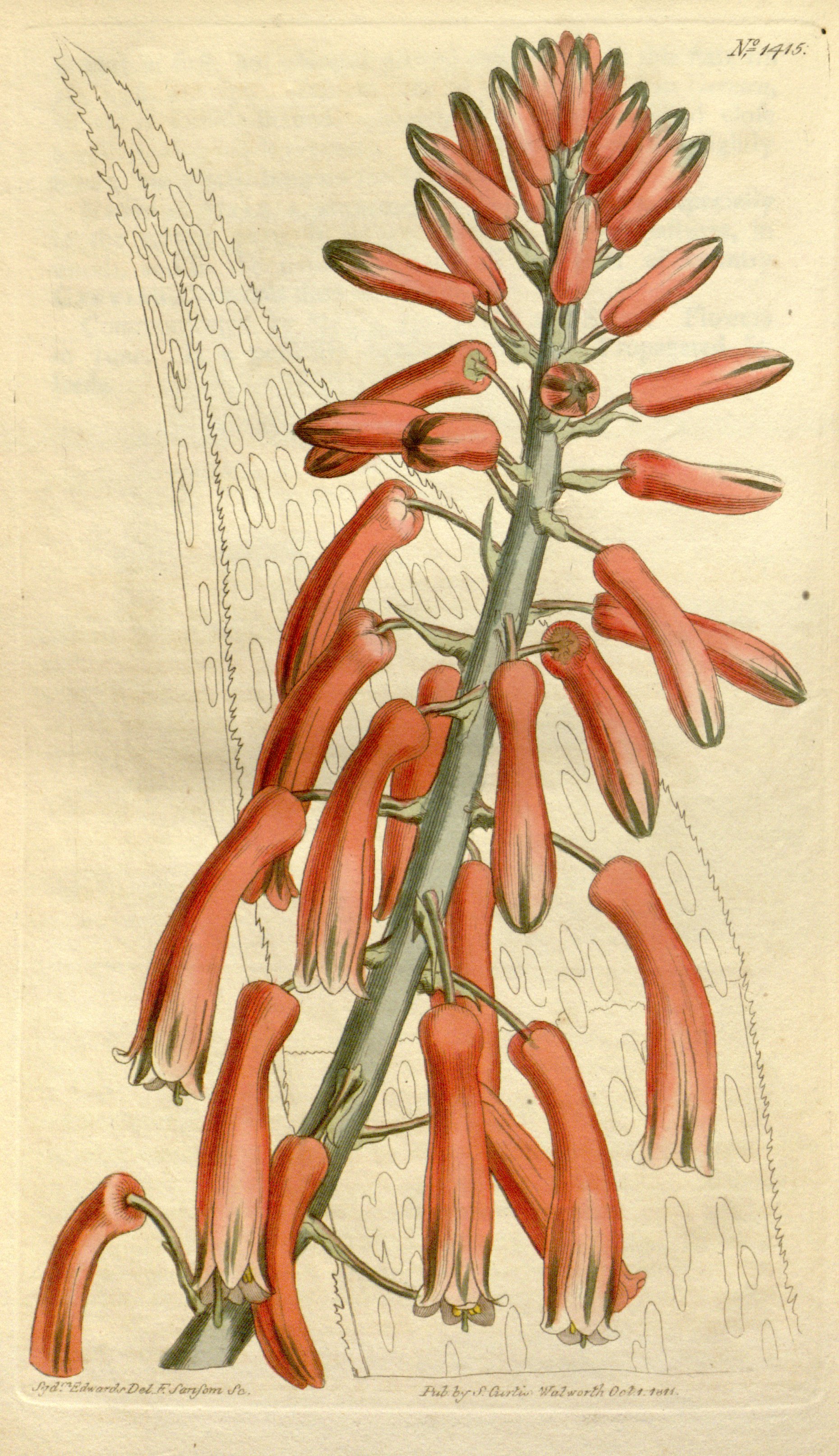 no full size  illustration available (3a)