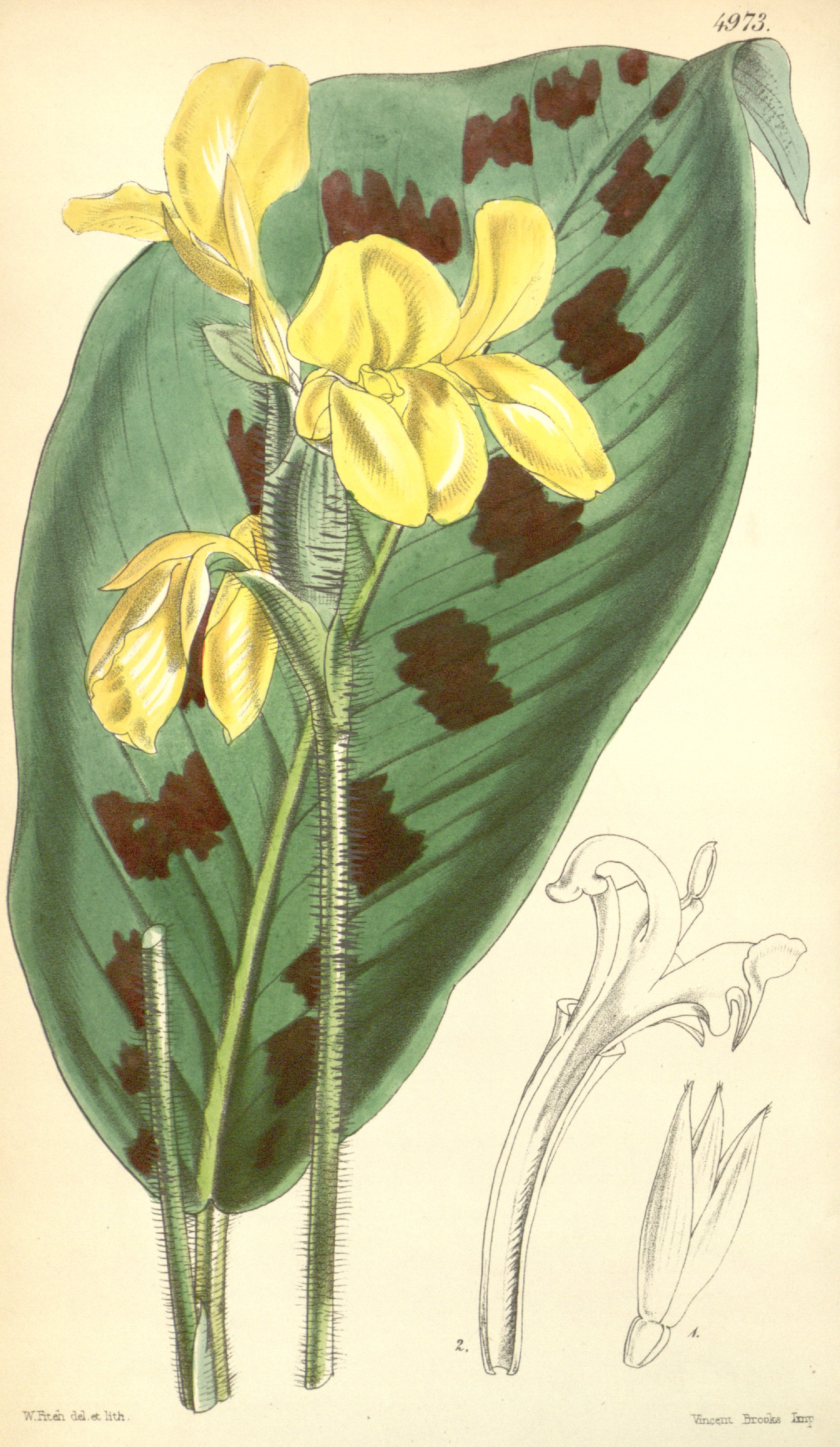 no full size  illustration available (3a)