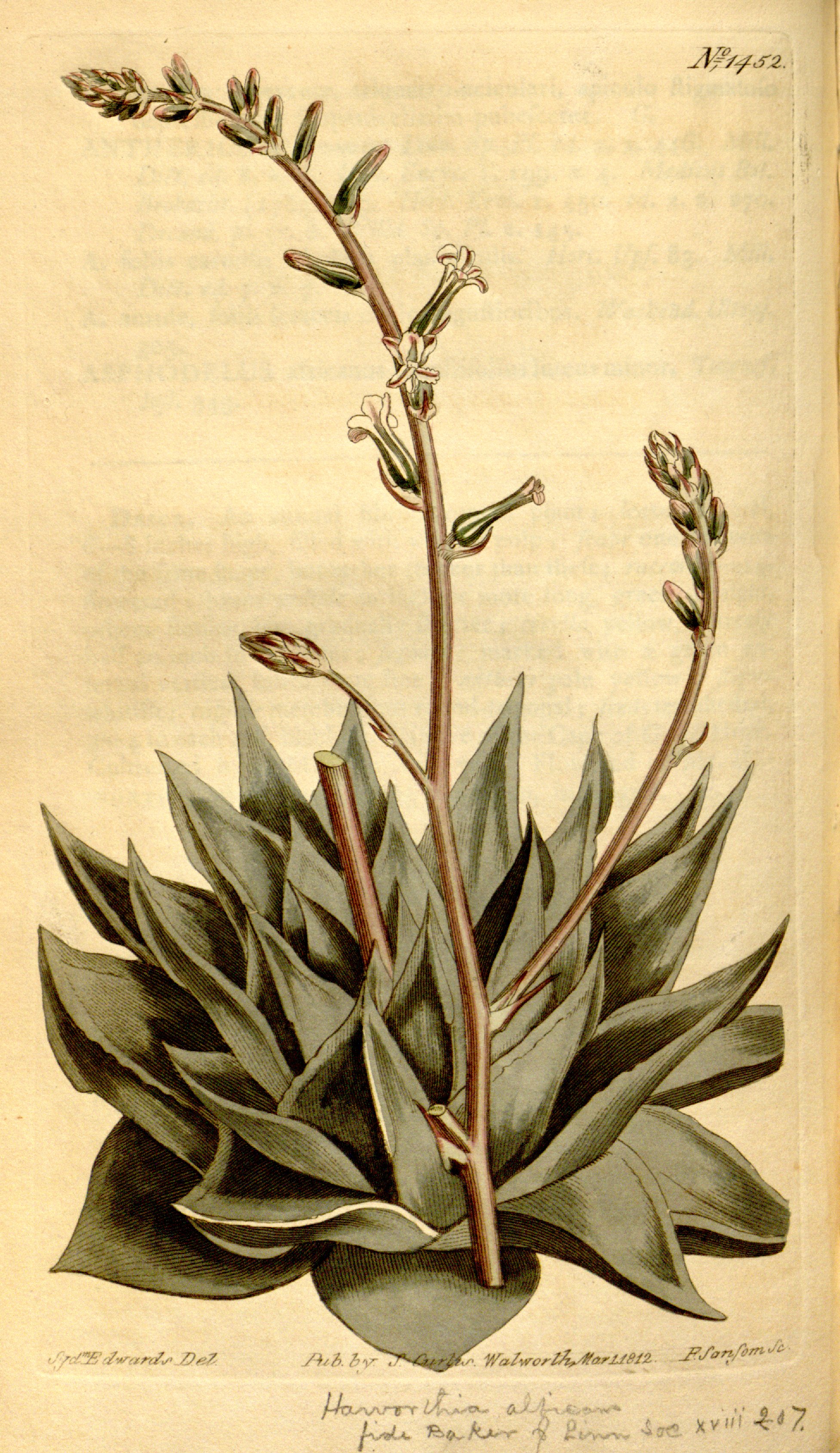 no full size  illustration available (3a)