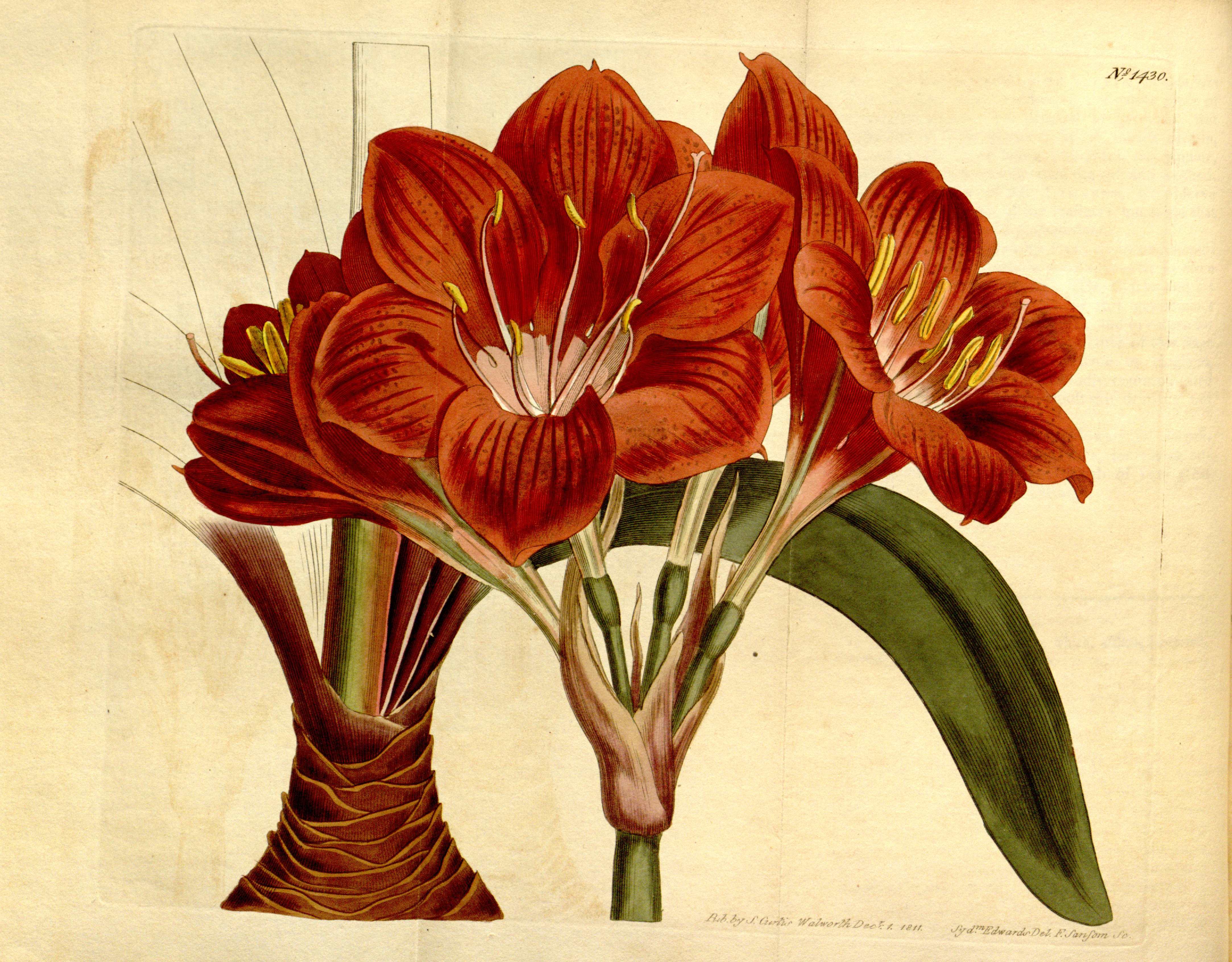 no full size  illustration available (3a)