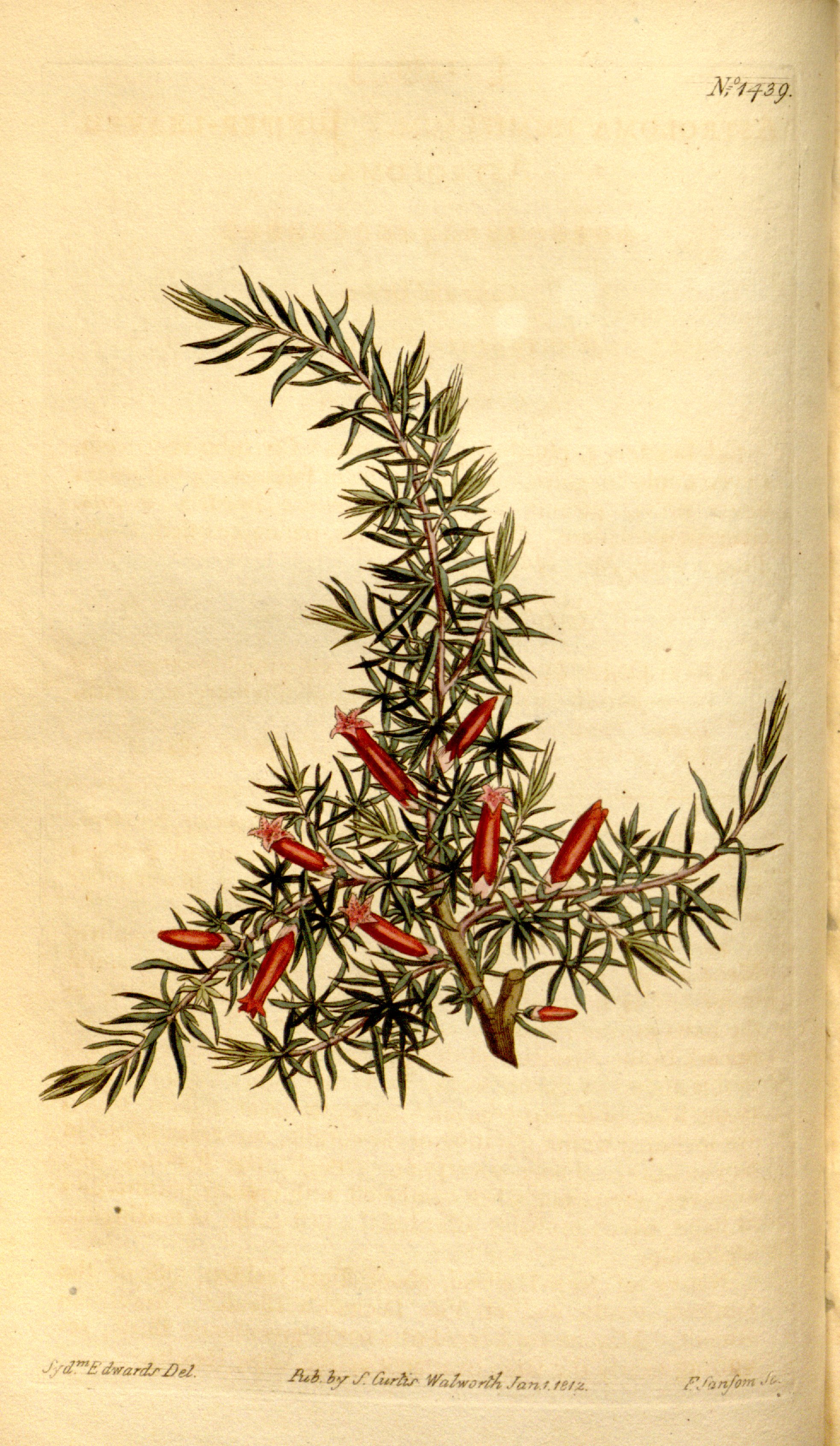 no full size  illustration available (3a)