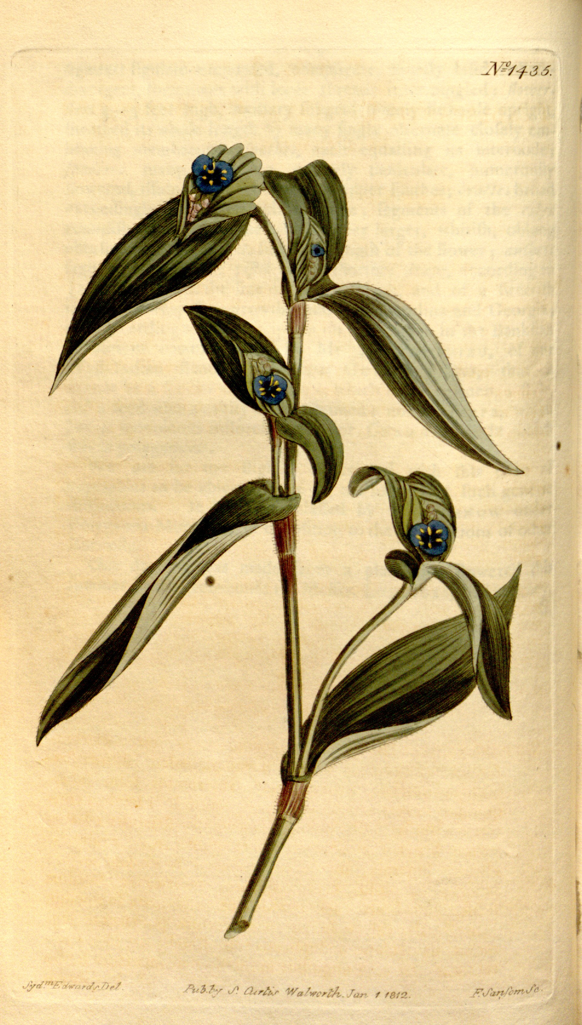 no full size  illustration available (3a)