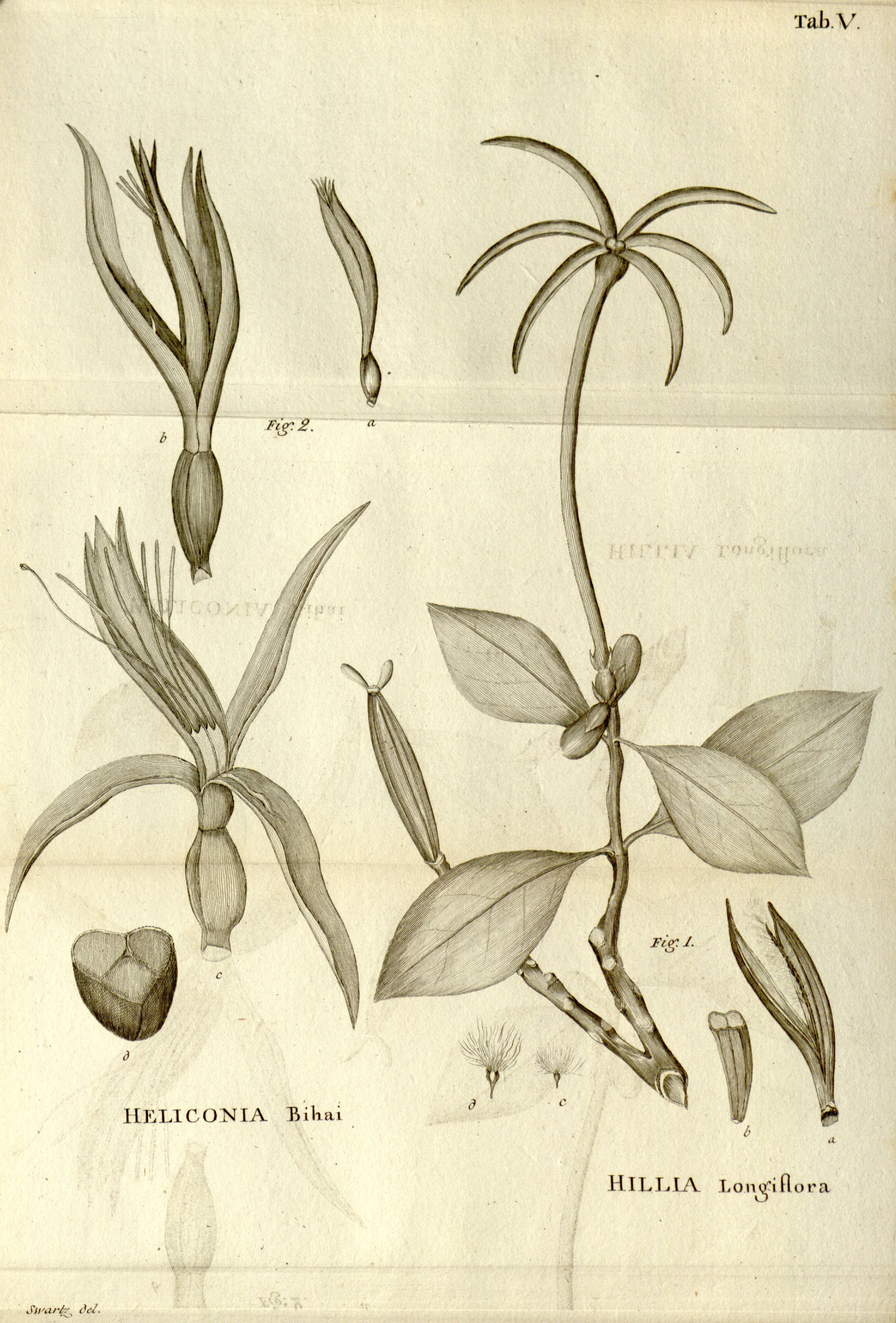 no full size  illustration available (3a)