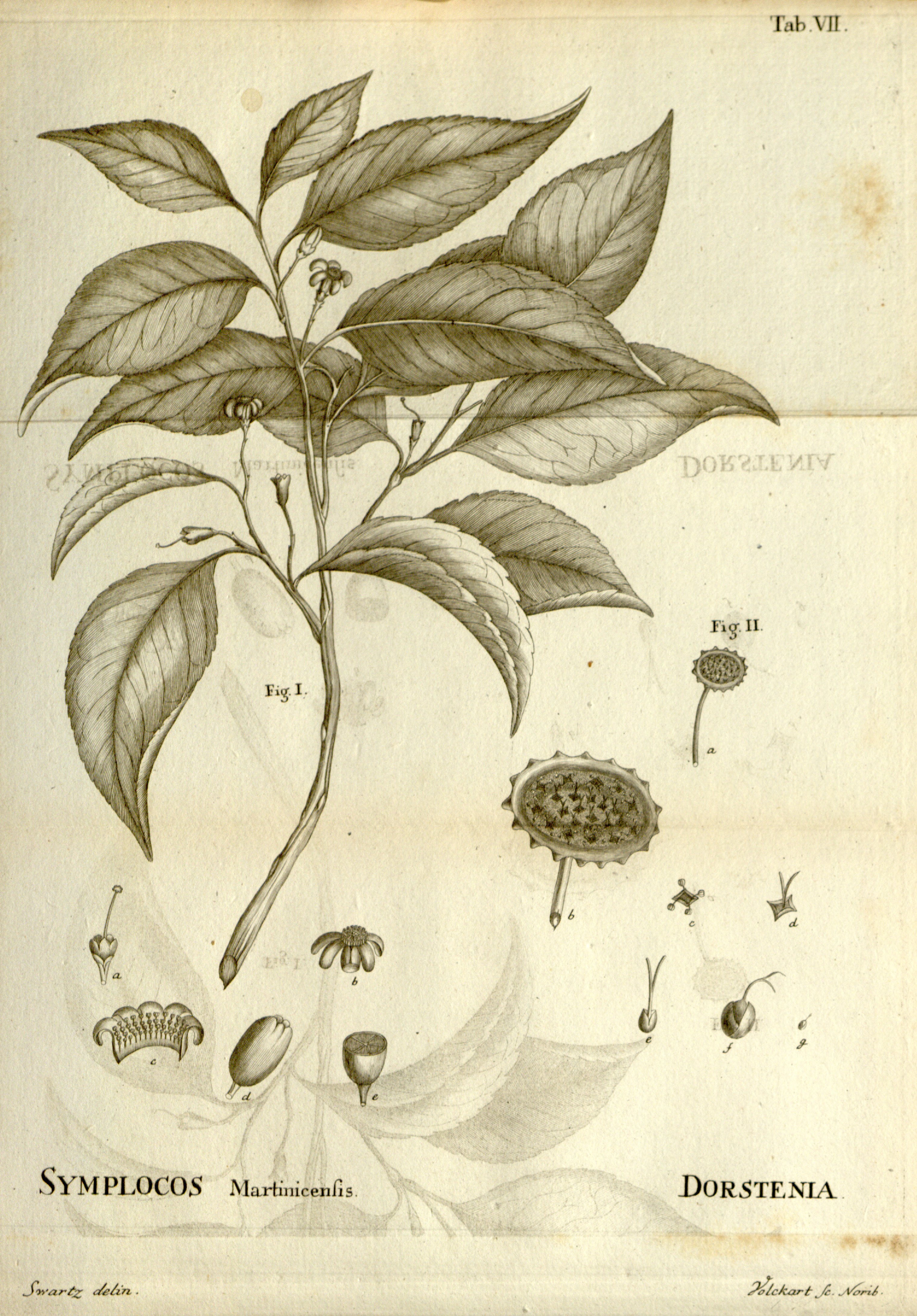 no full size  illustration available (3a)