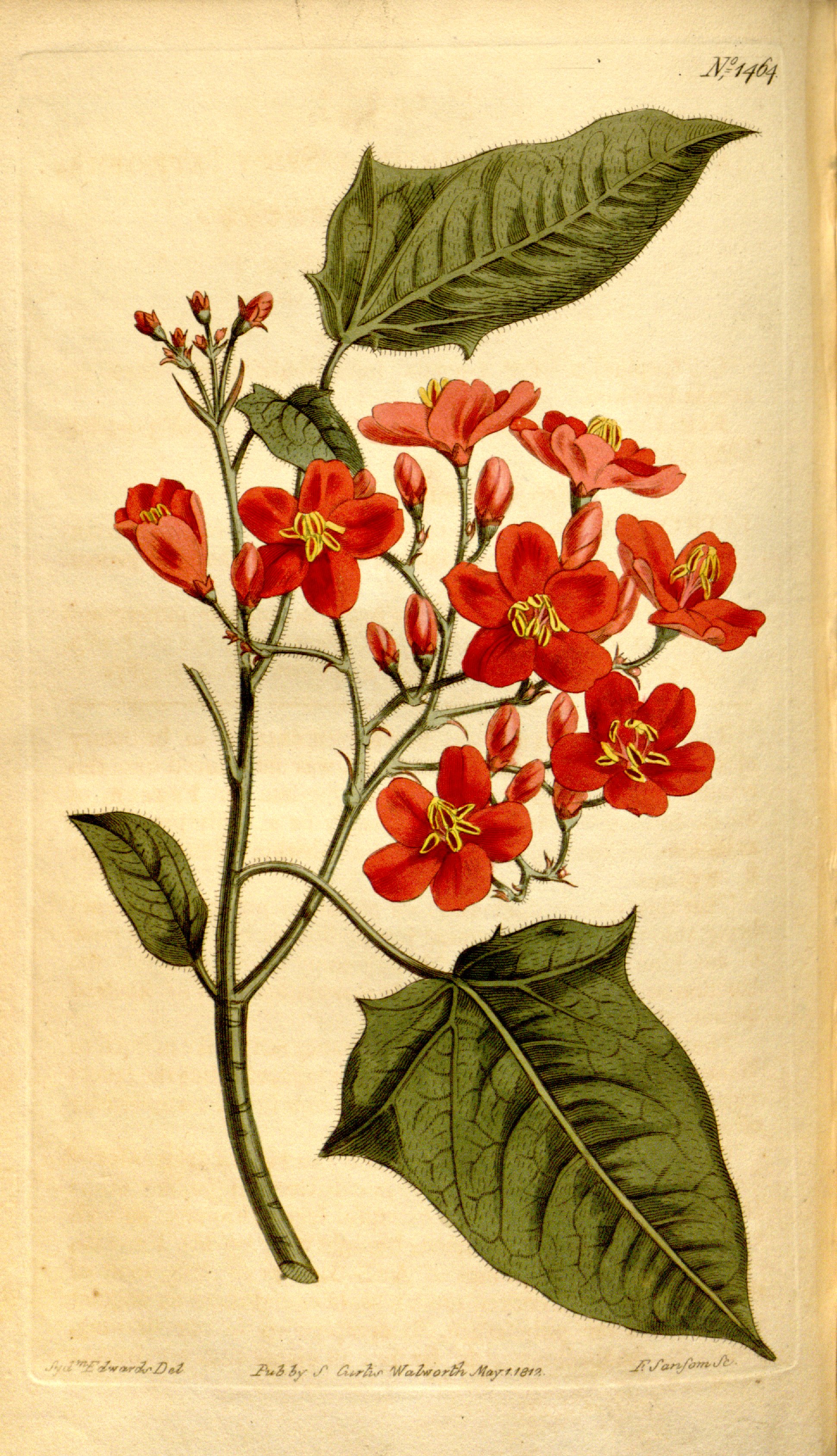 no full size  illustration available (3a)