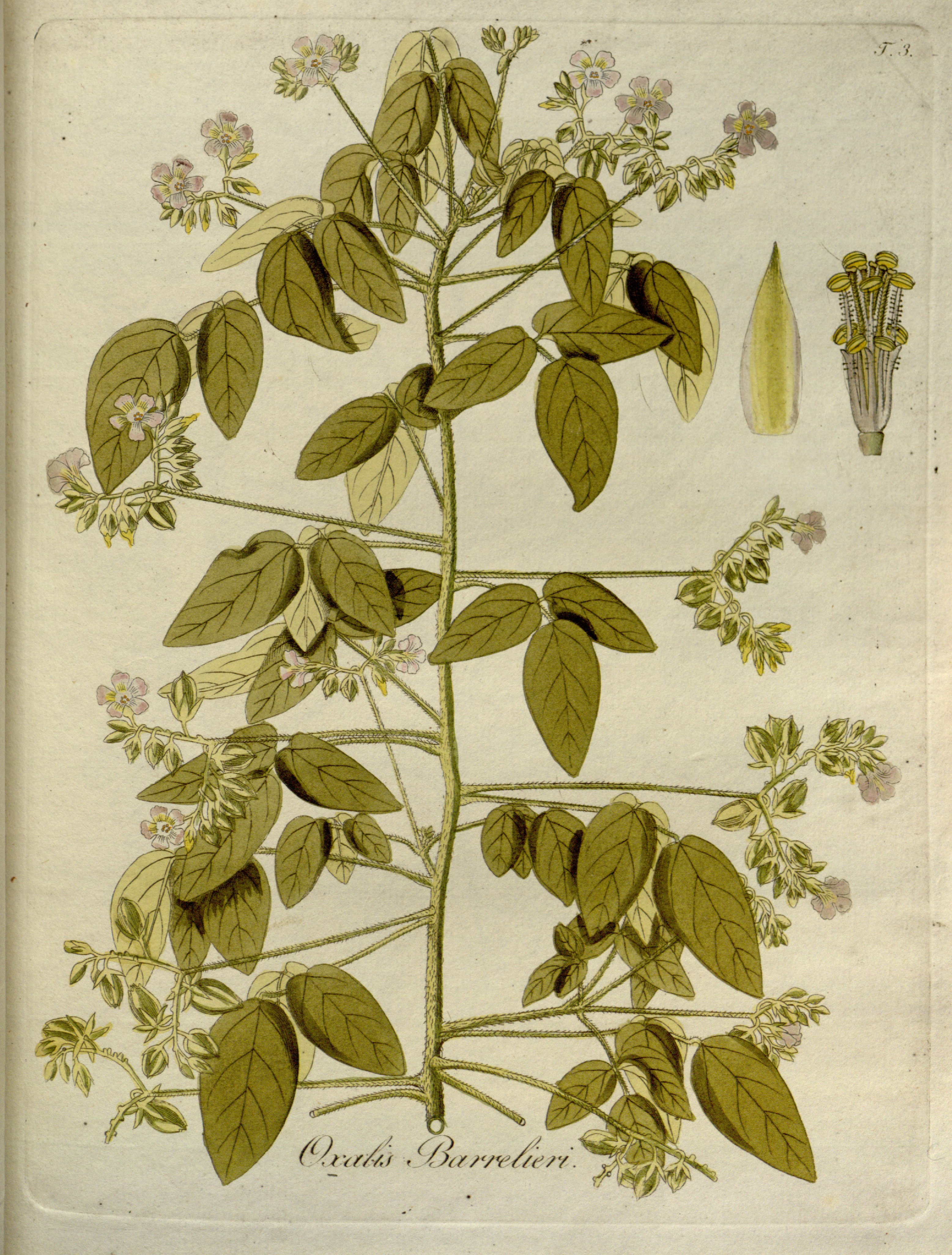 no full size  illustration available (3a)