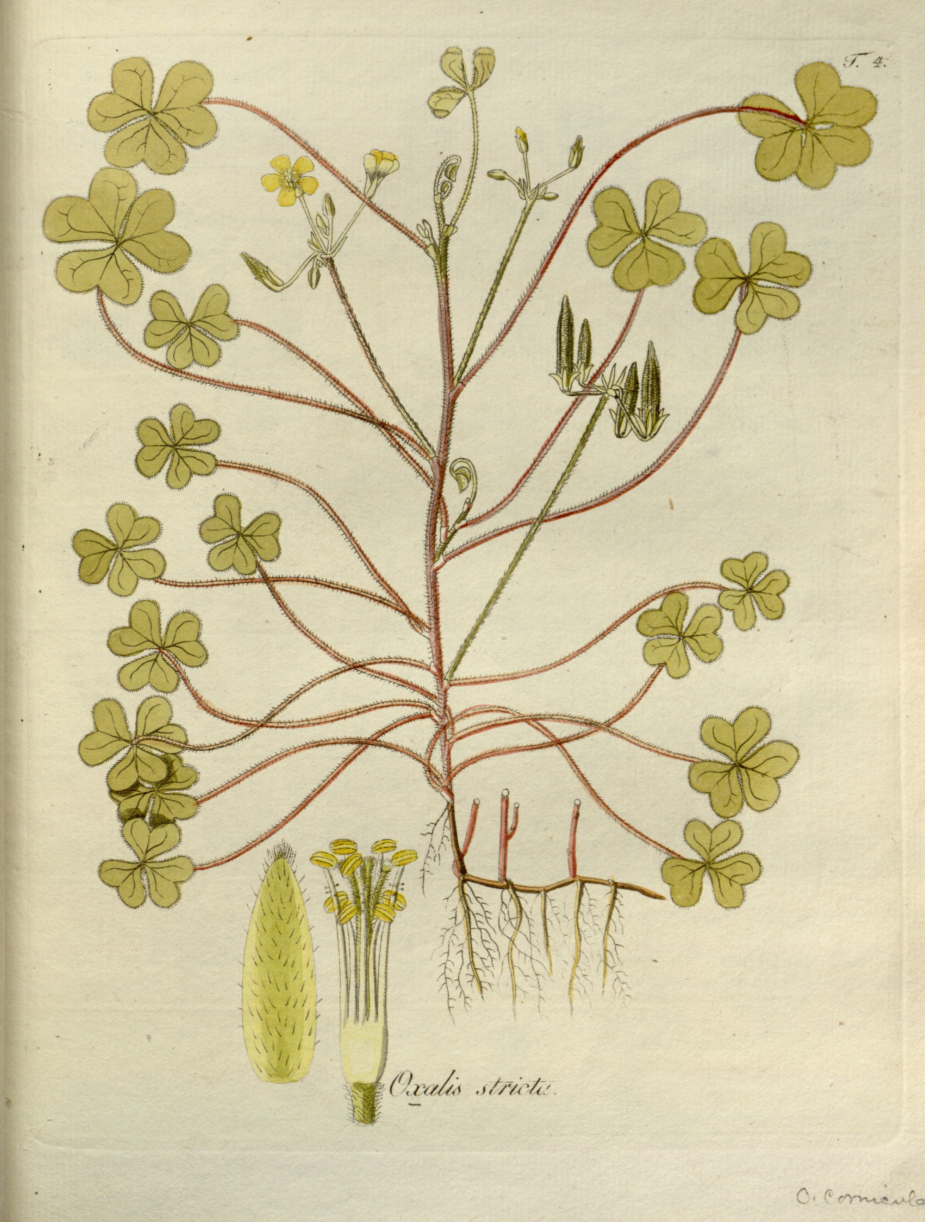 no full size  illustration available (3a)