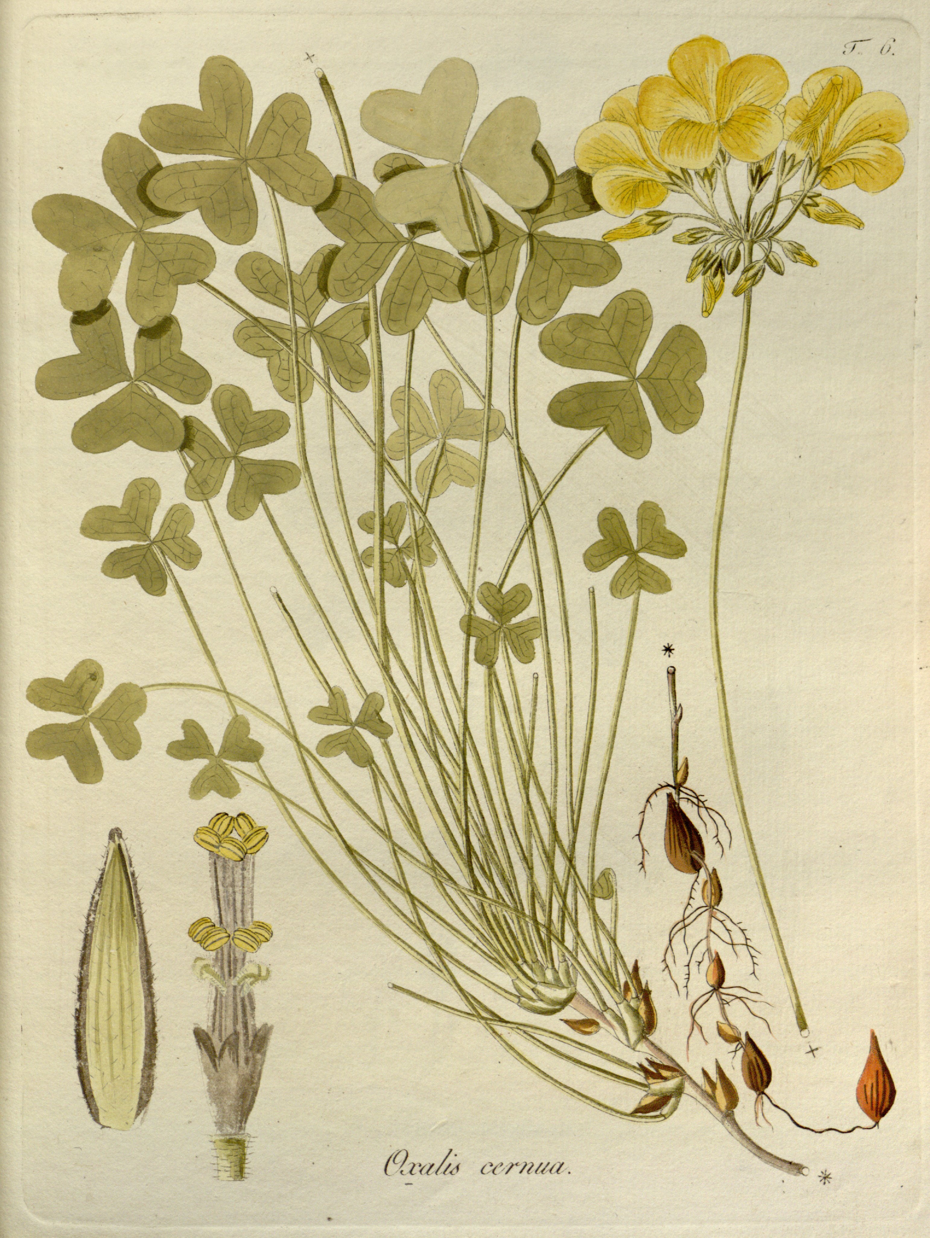 no full size  illustration available (3a)