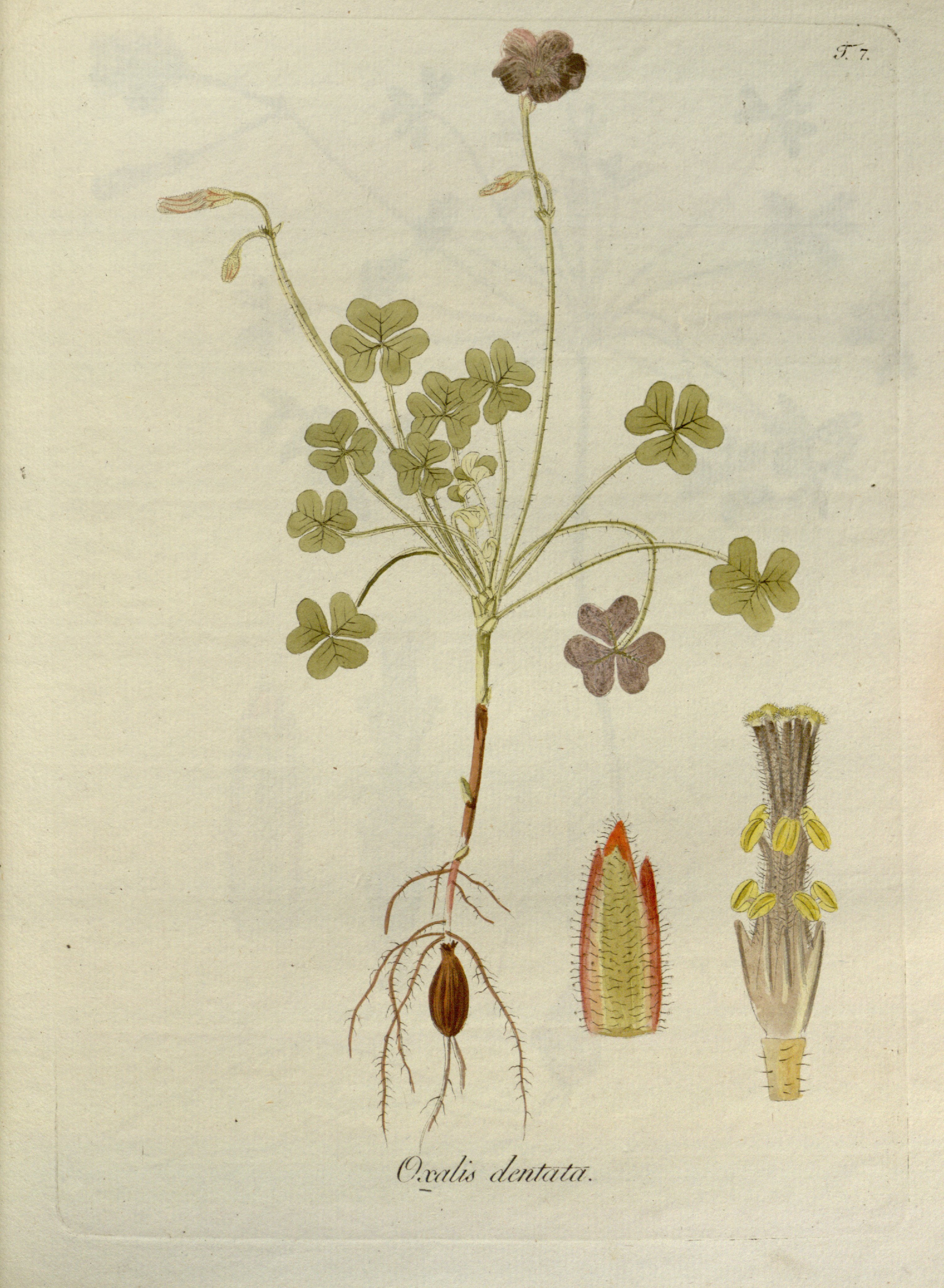 no full size  illustration available (3a)