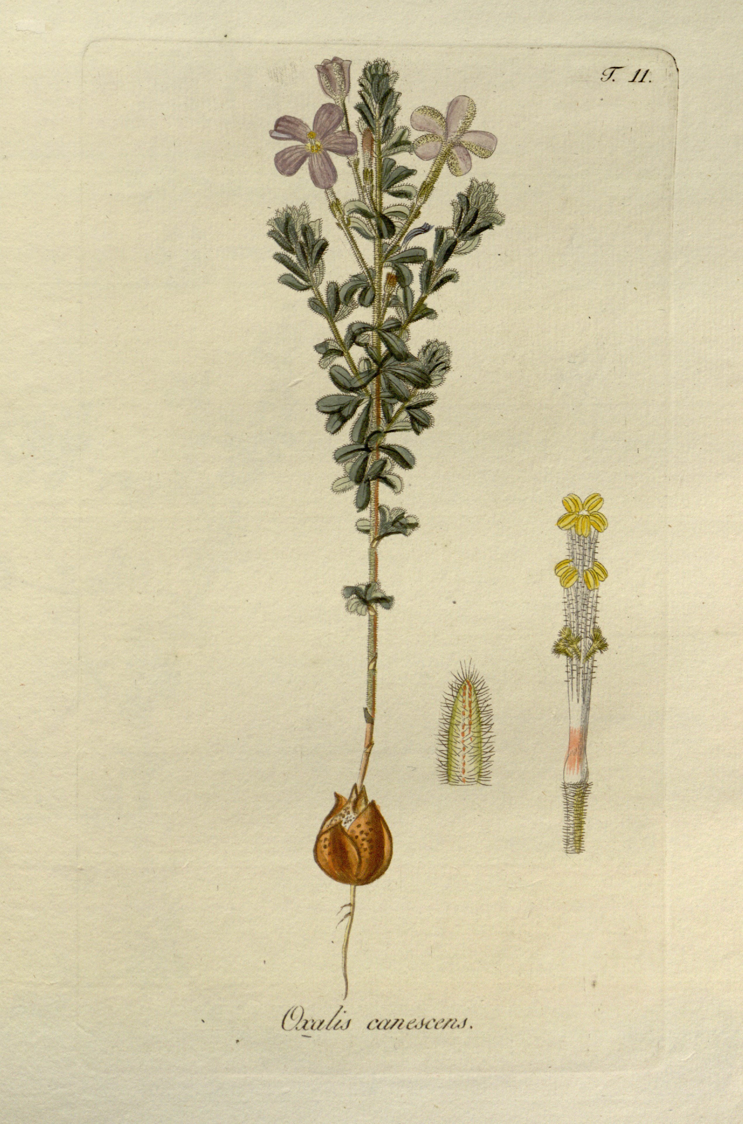 no full size  illustration available (3a)