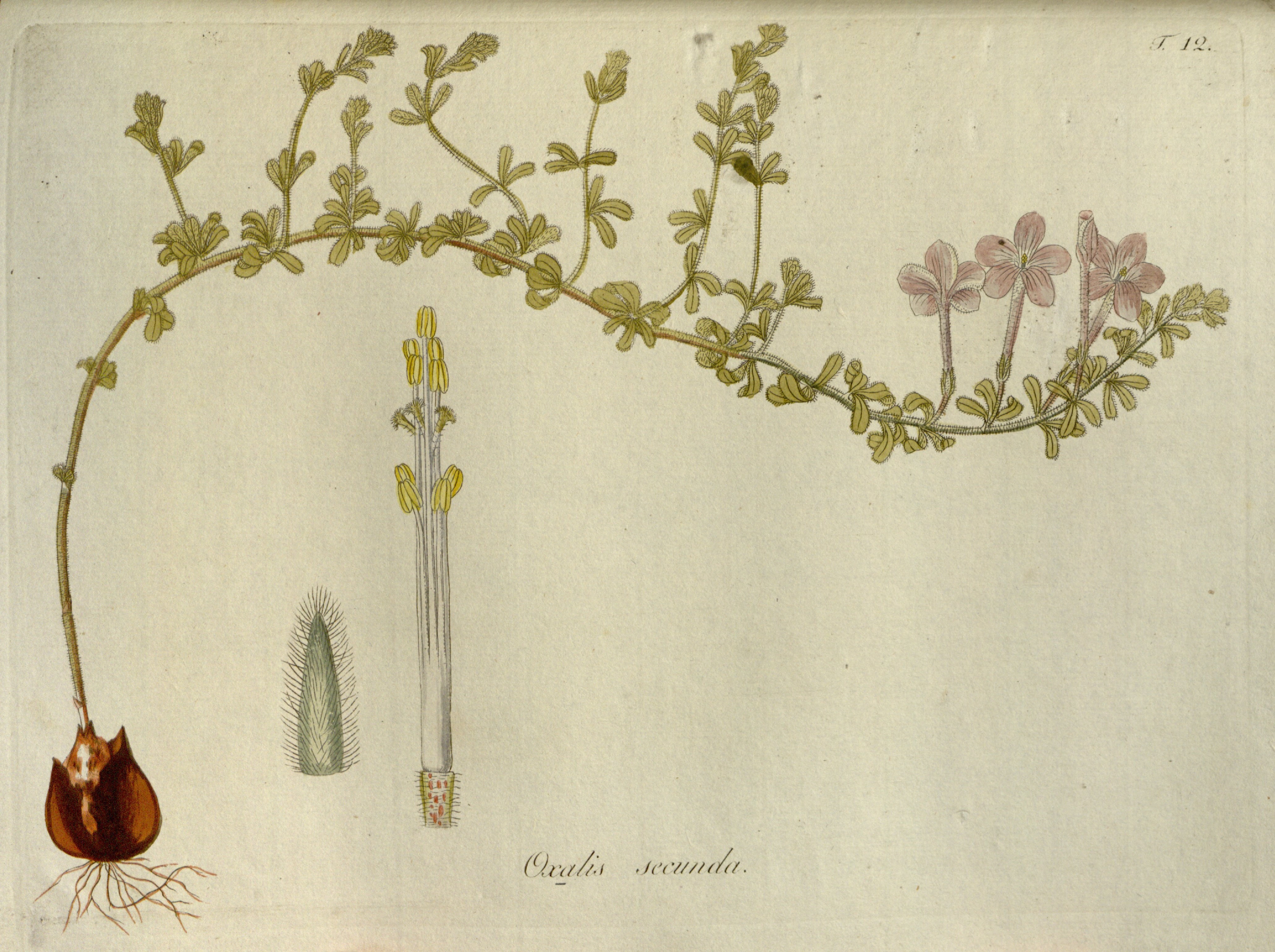 no full size  illustration available (3a)