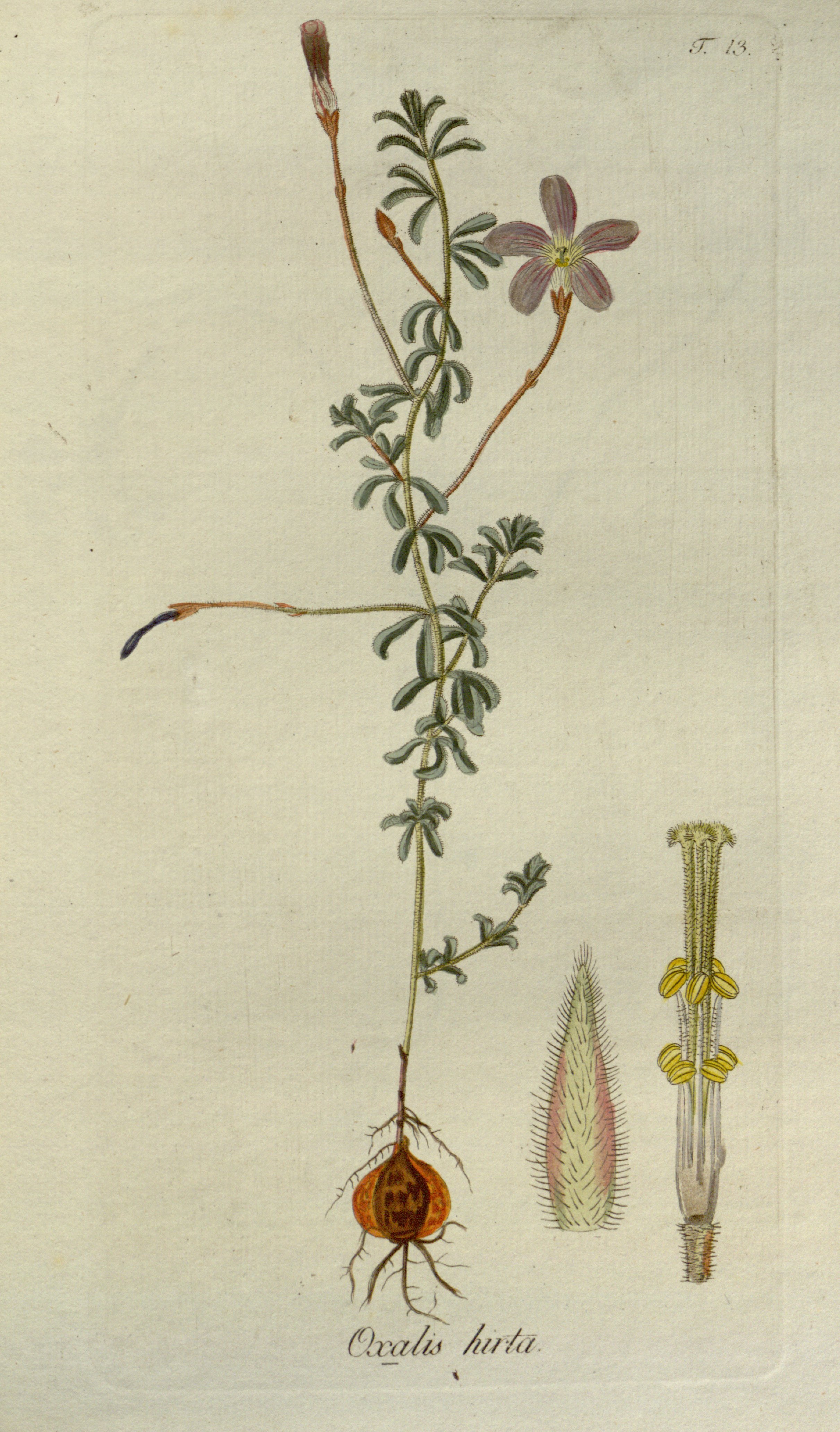 no full size  illustration available (3a)