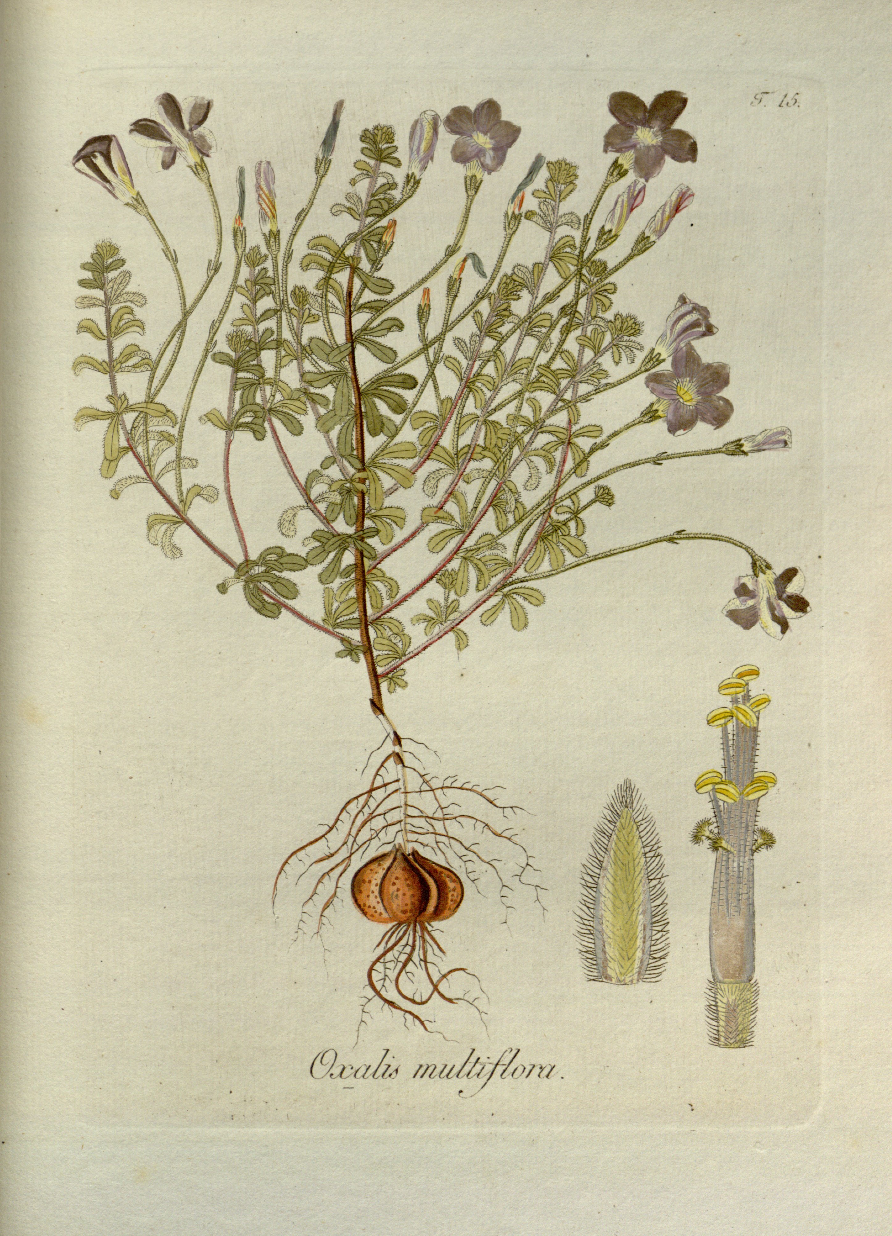 no full size  illustration available (3a)