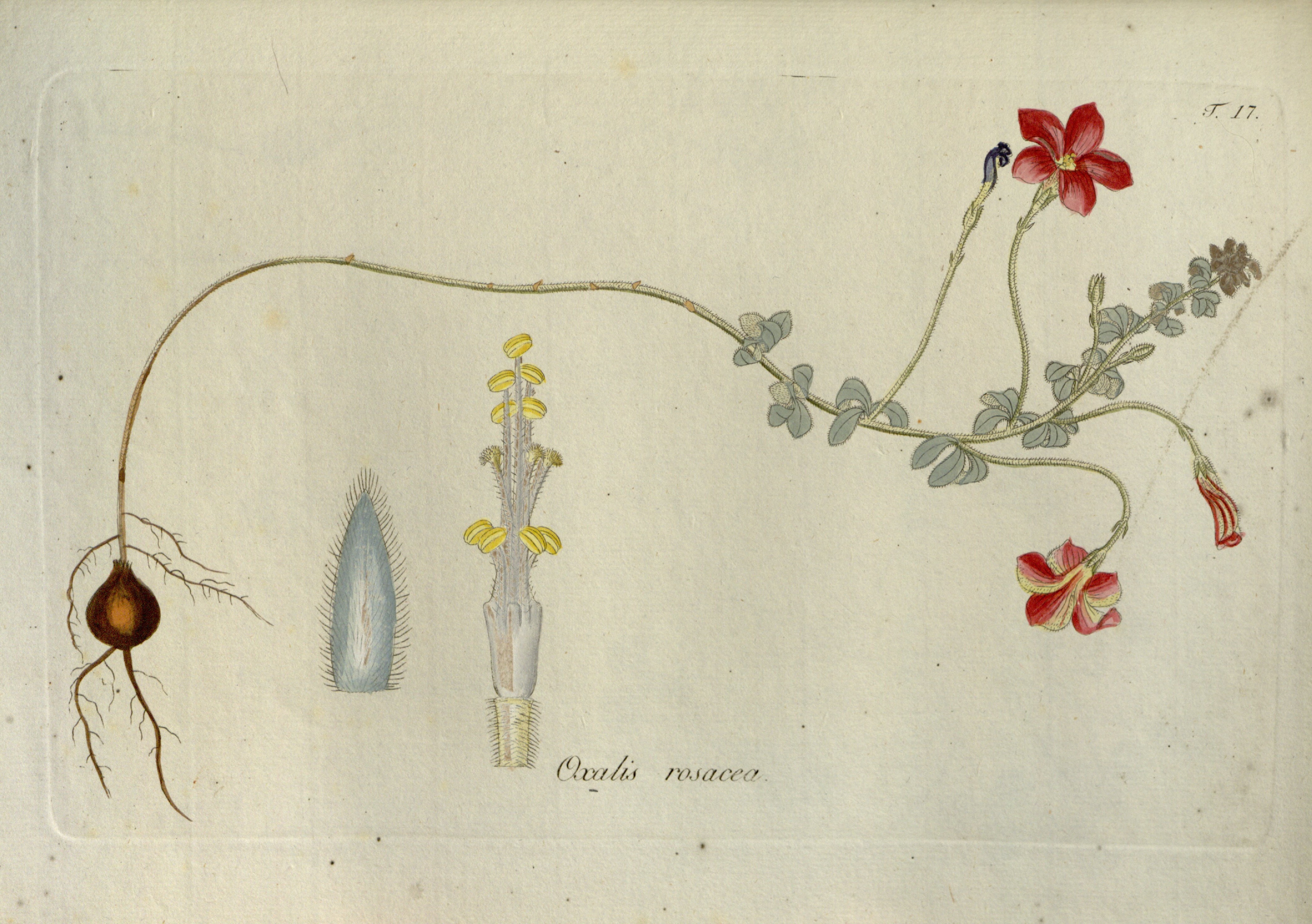 no full size  illustration available (3a)