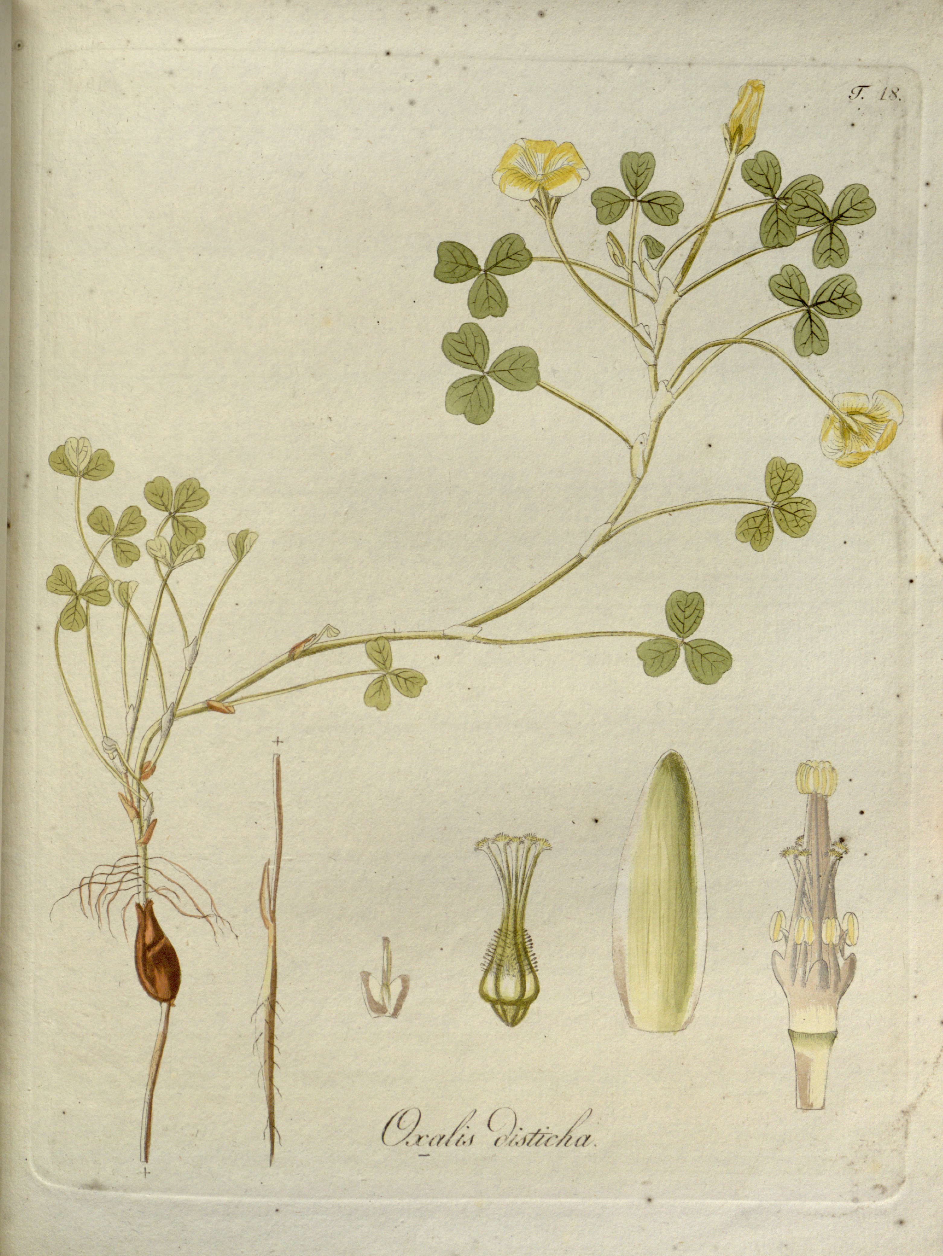 no full size  illustration available (3a)