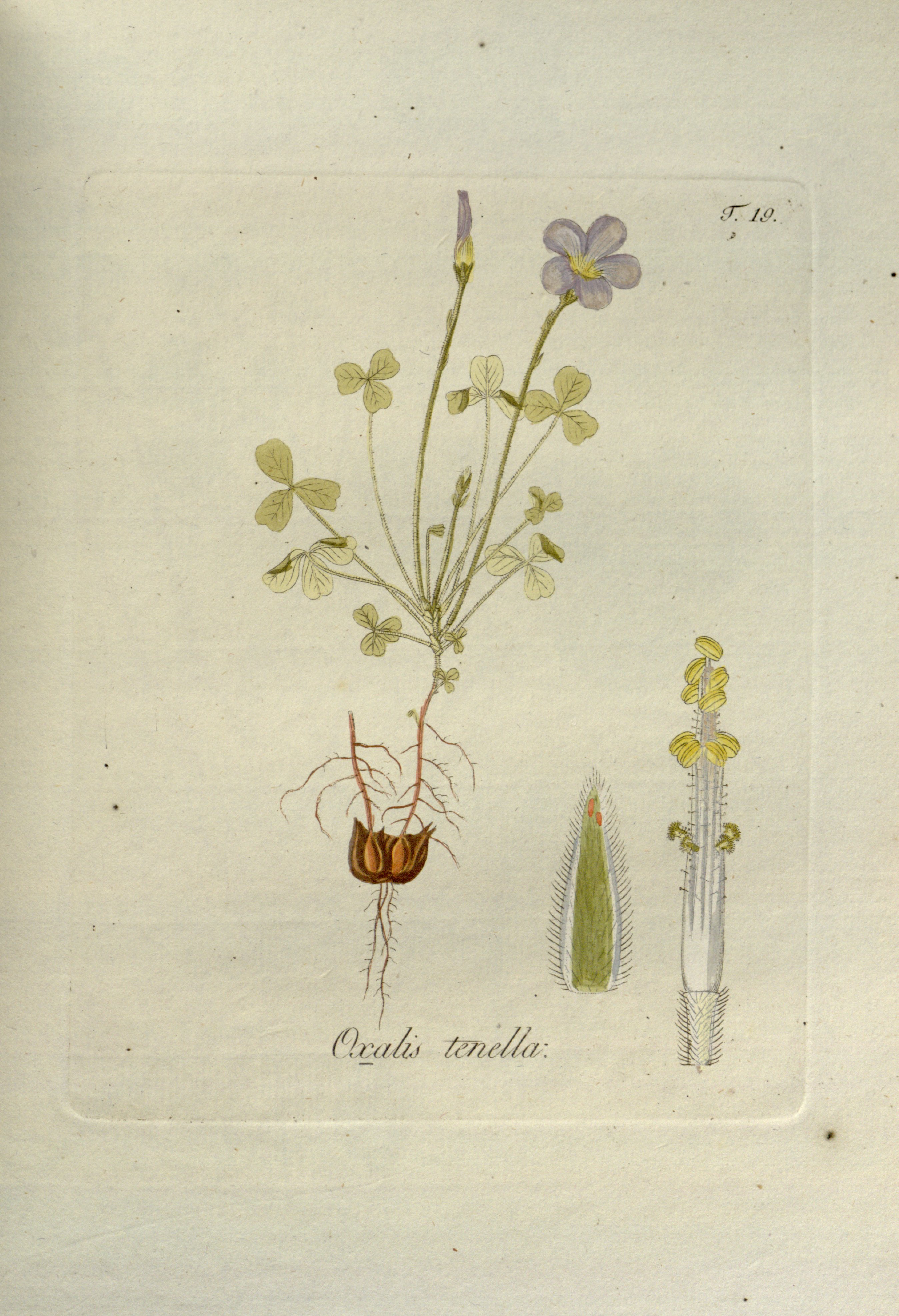 no full size  illustration available (3a)