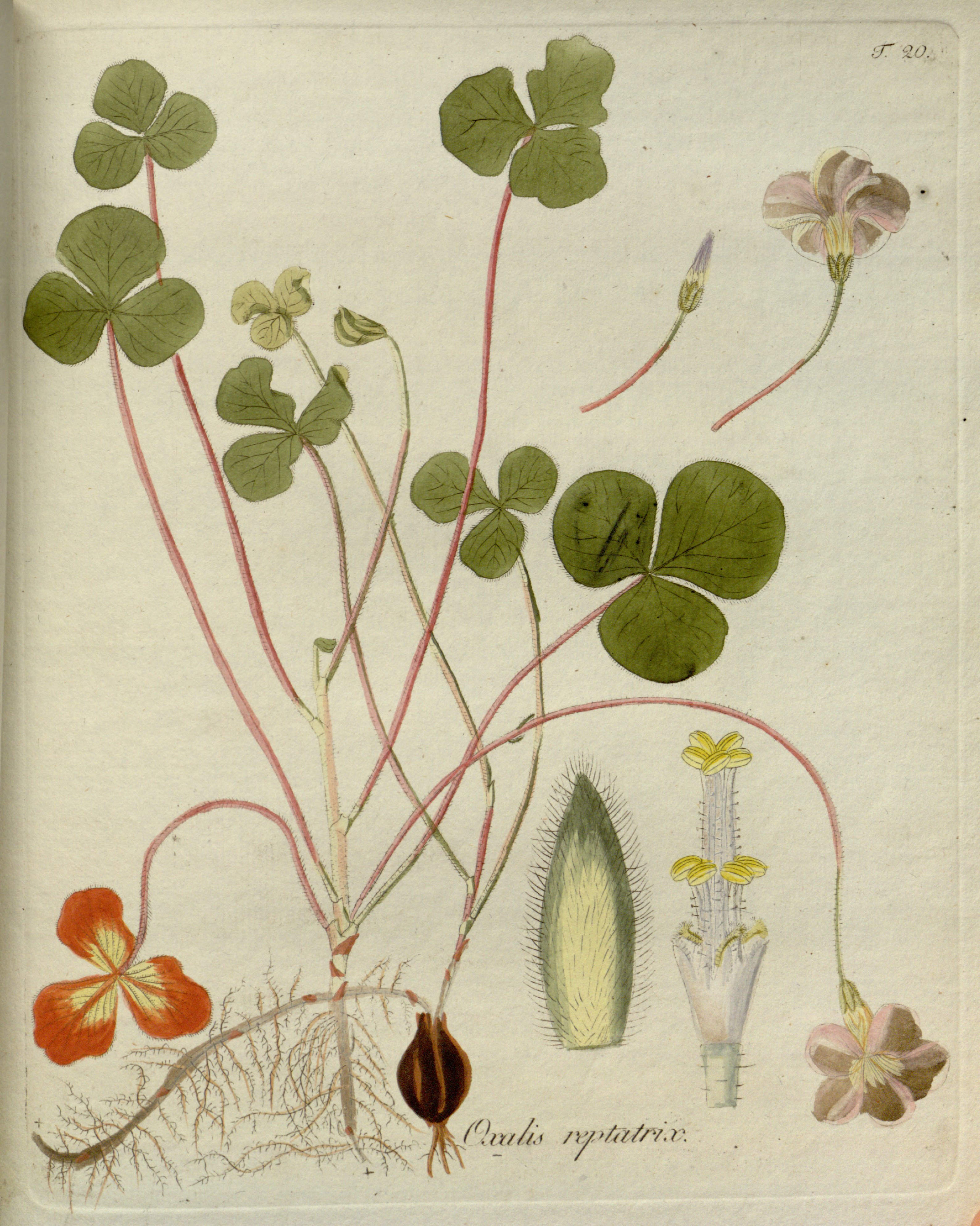 no full size  illustration available (3a)