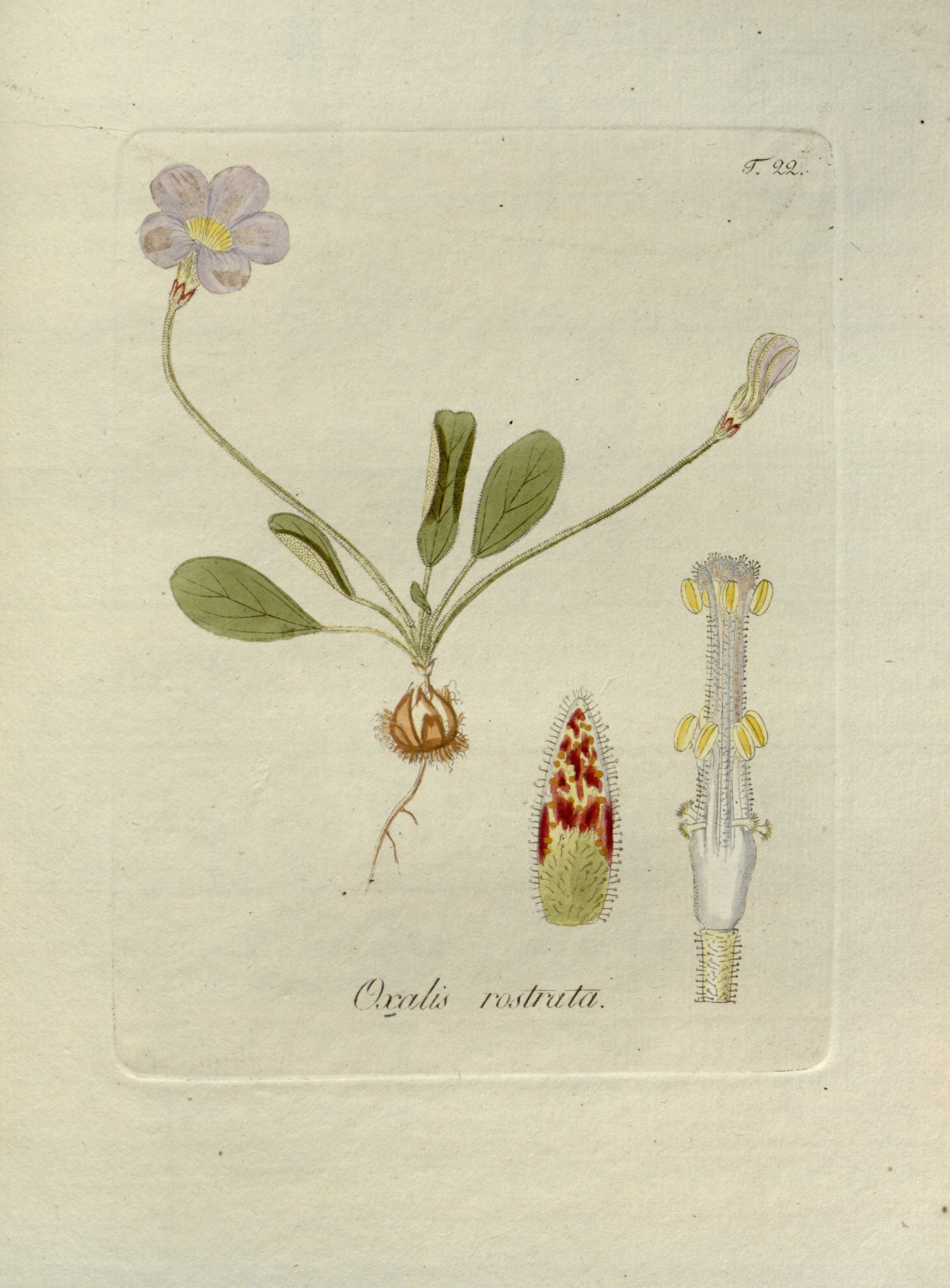 no full size  illustration available (3a)