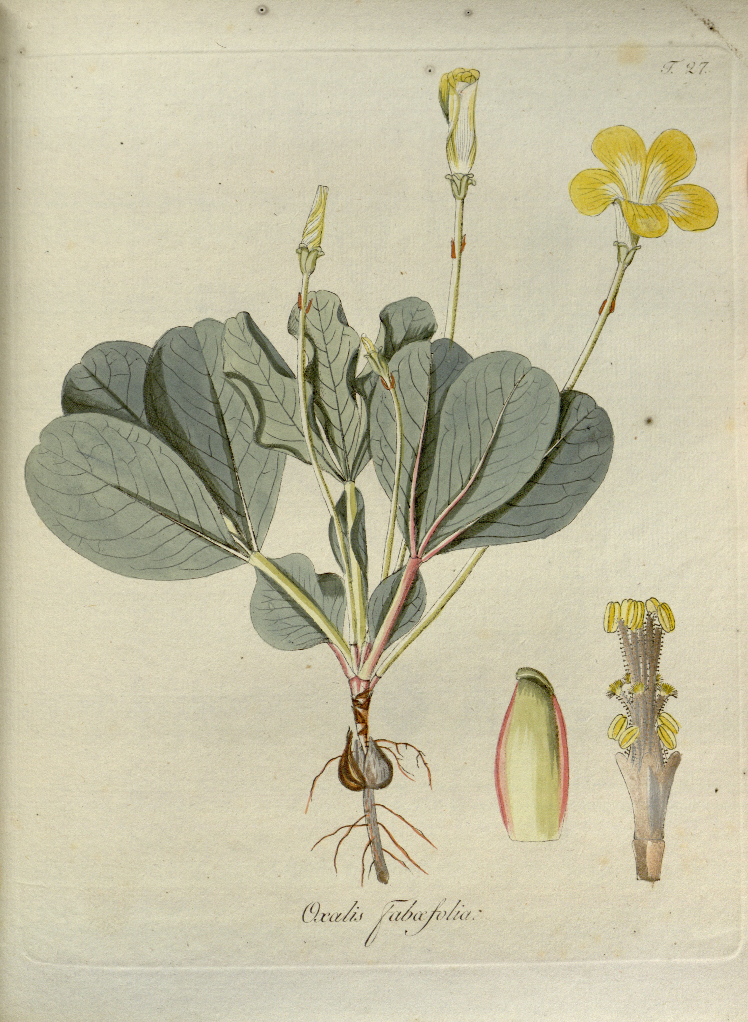 no full size  illustration available (3a)