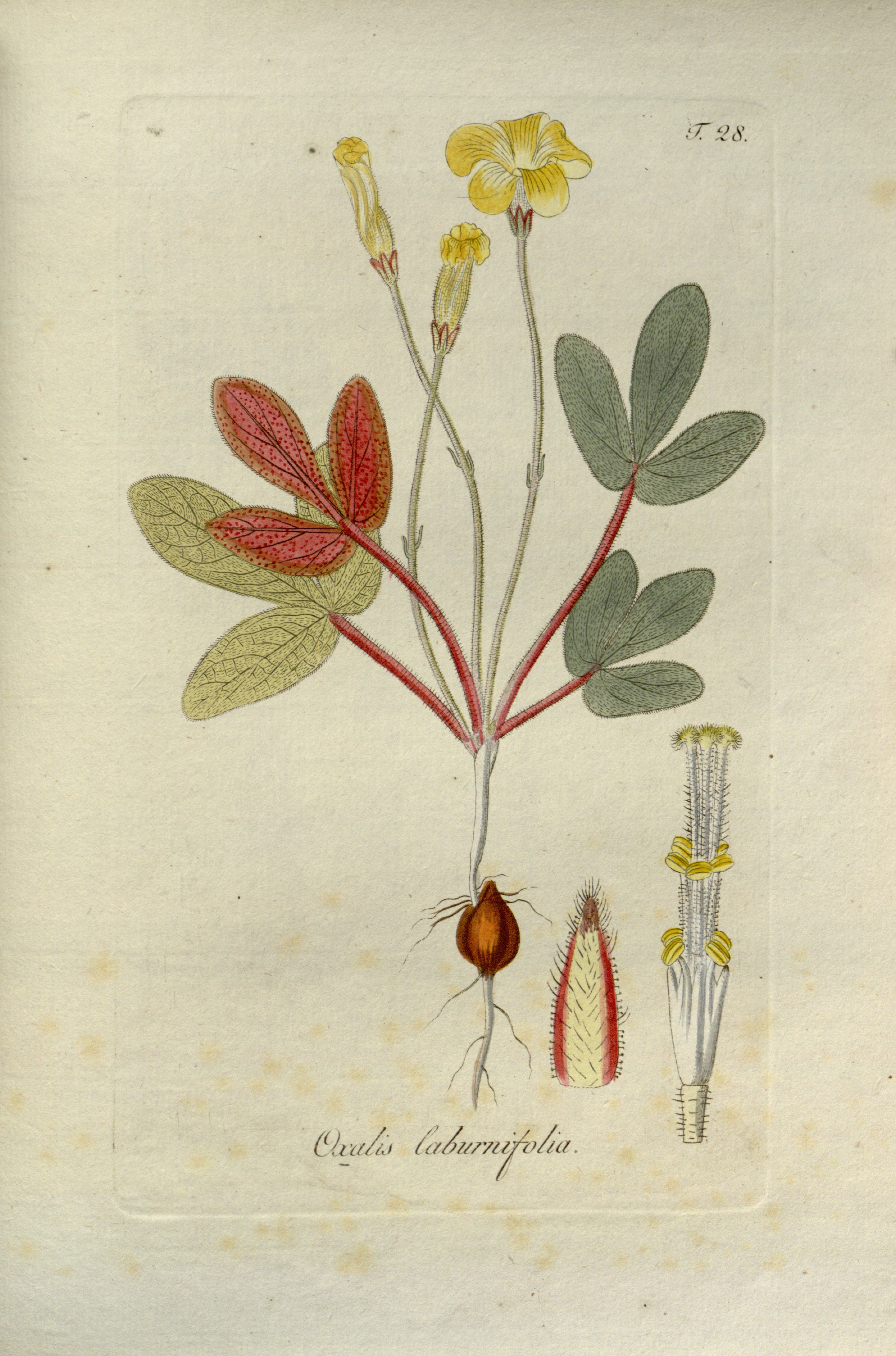 no full size  illustration available (3a)