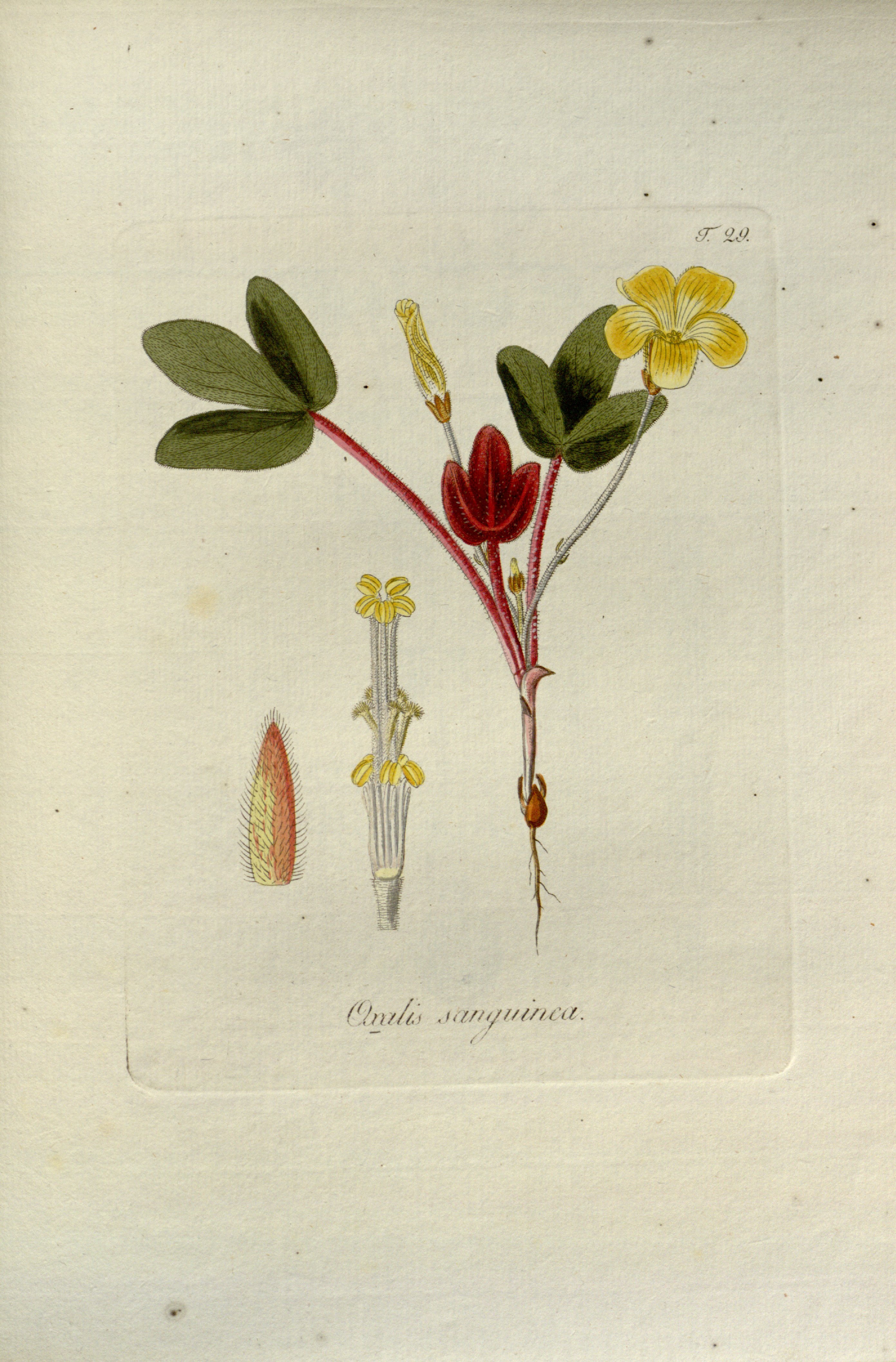 no full size  illustration available (3a)