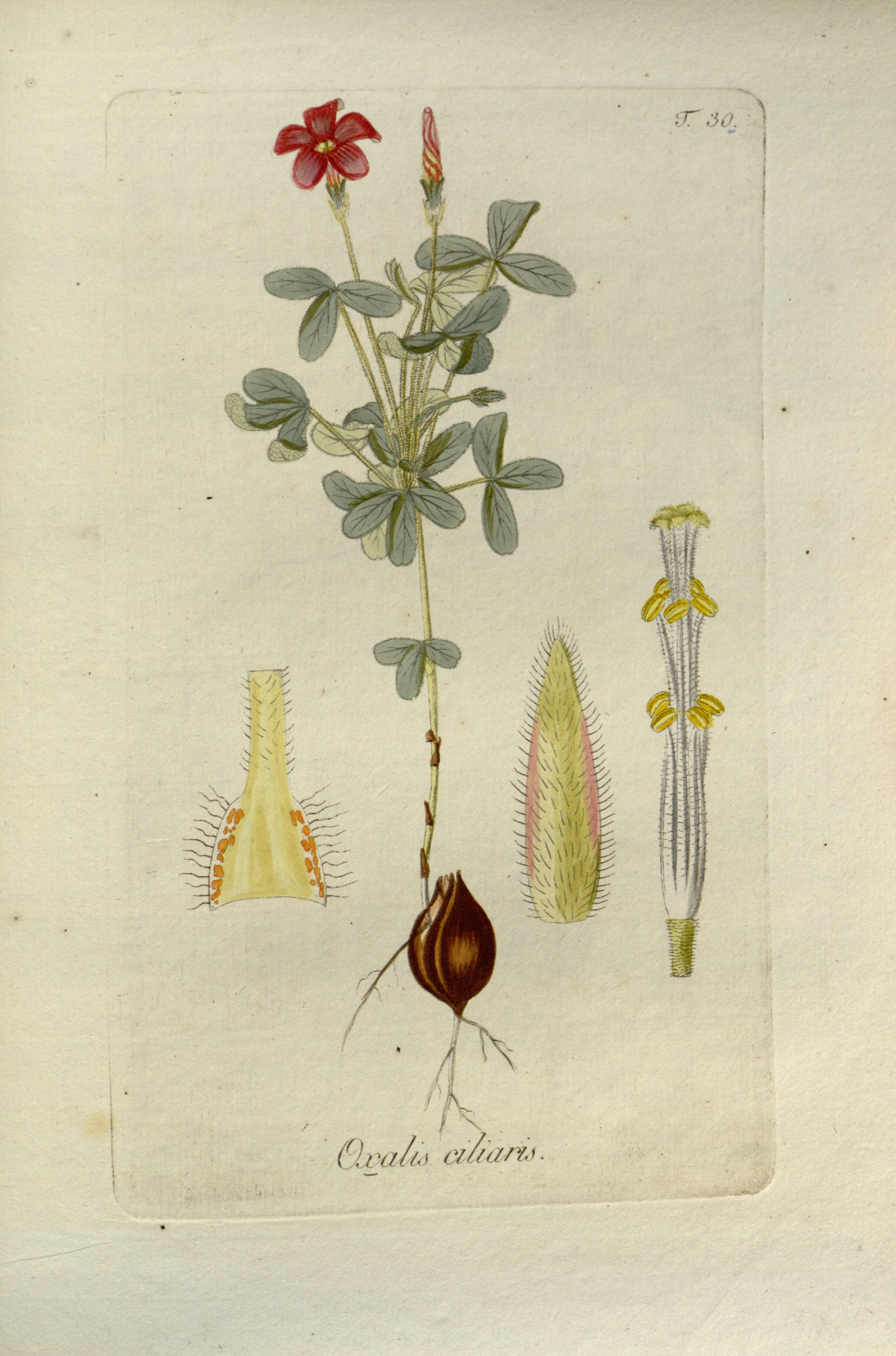 no full size  illustration available (3a)