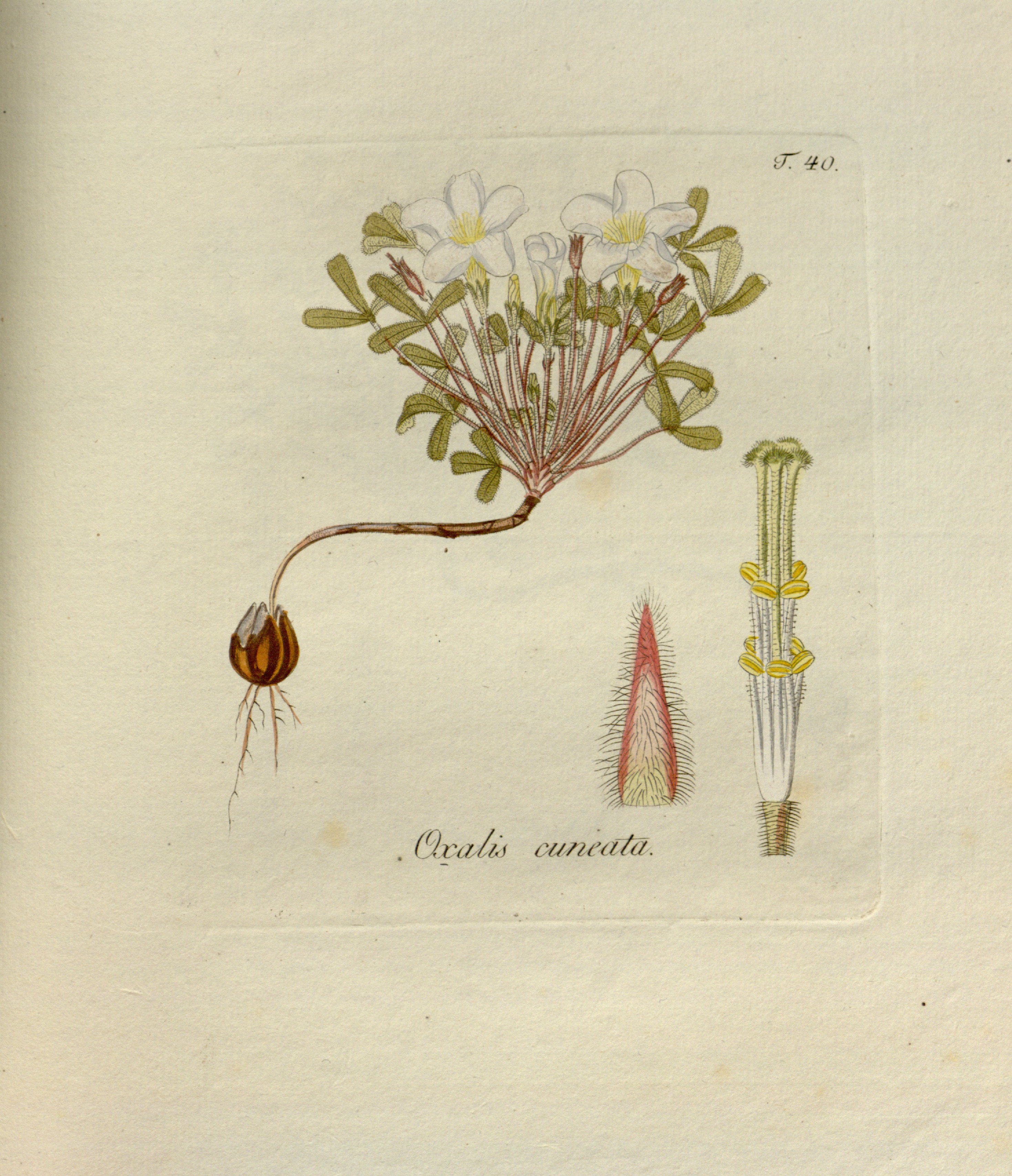 no full size  illustration available (3a)