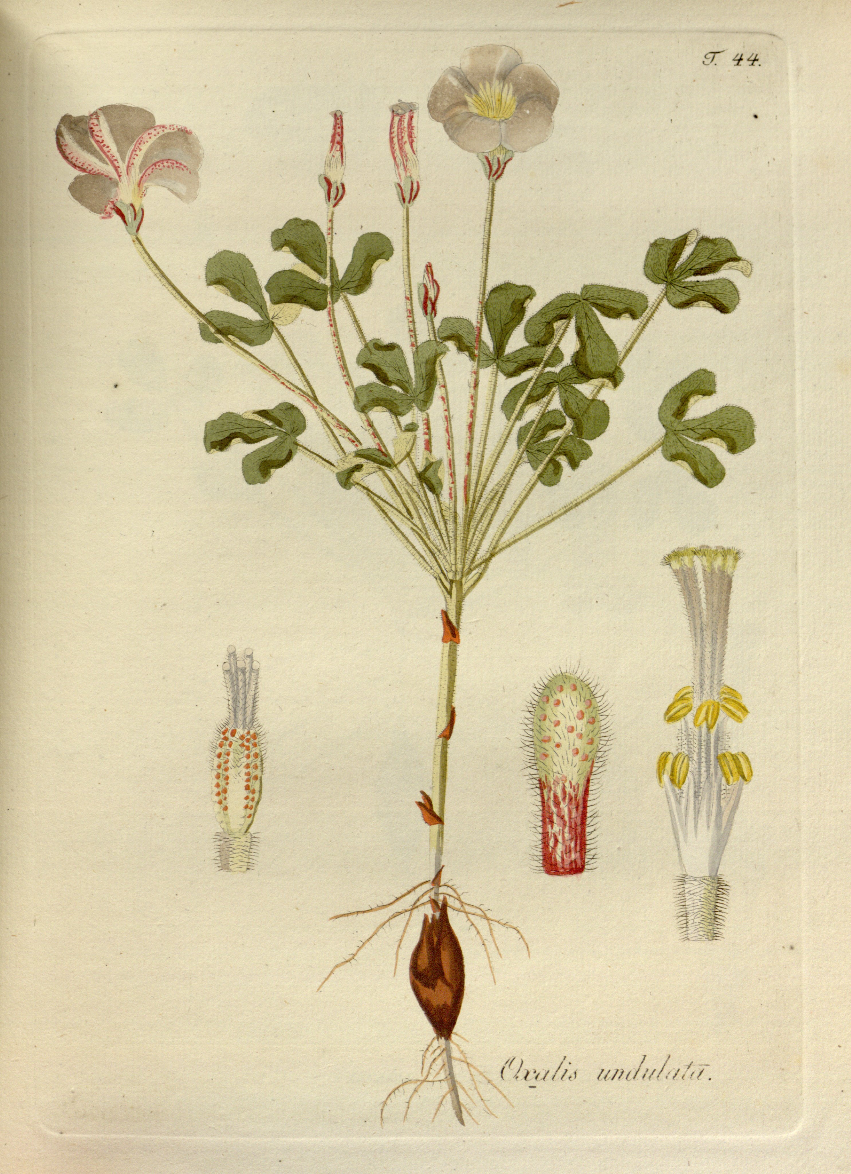 no full size  illustration available (3a)