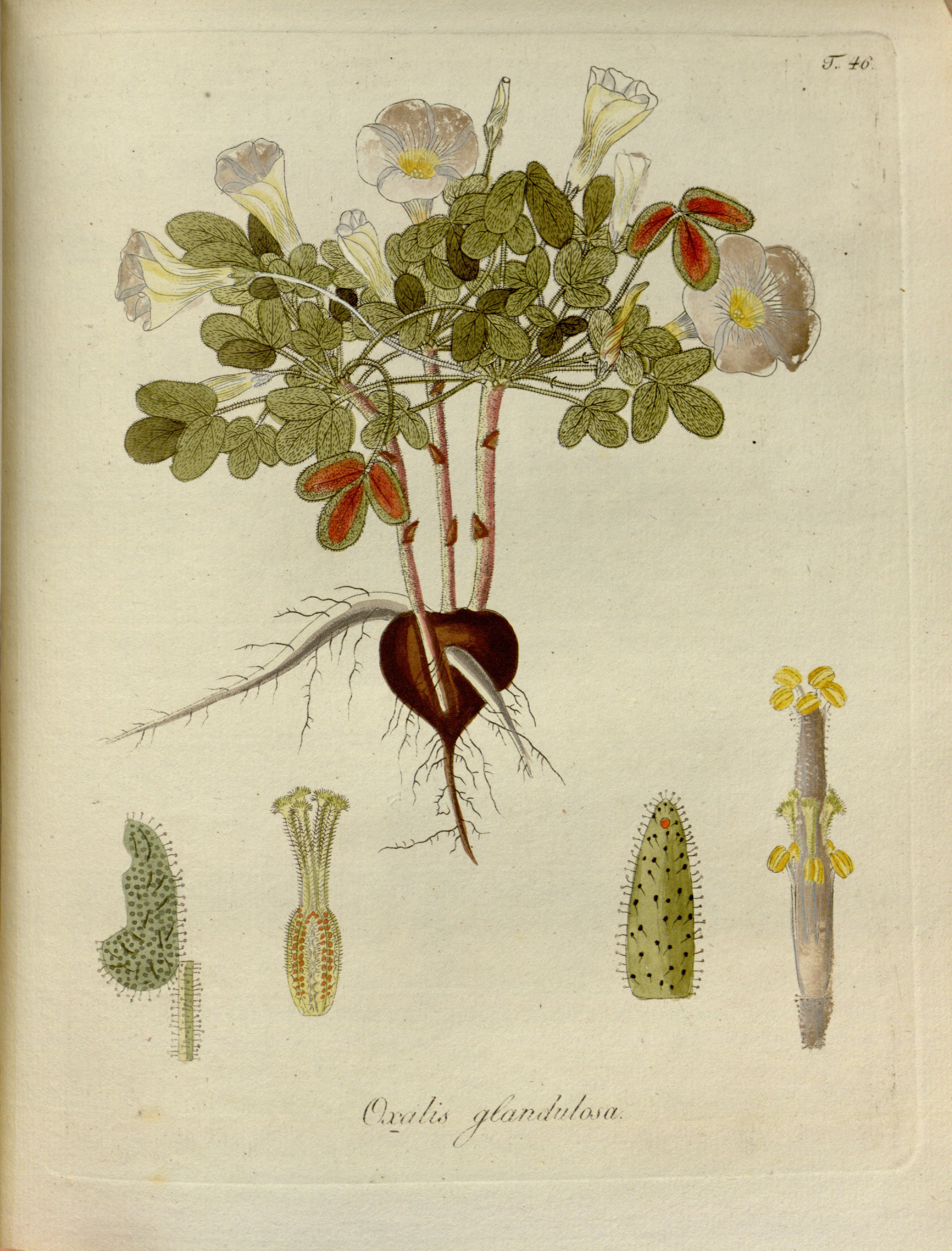 no full size  illustration available (3a)