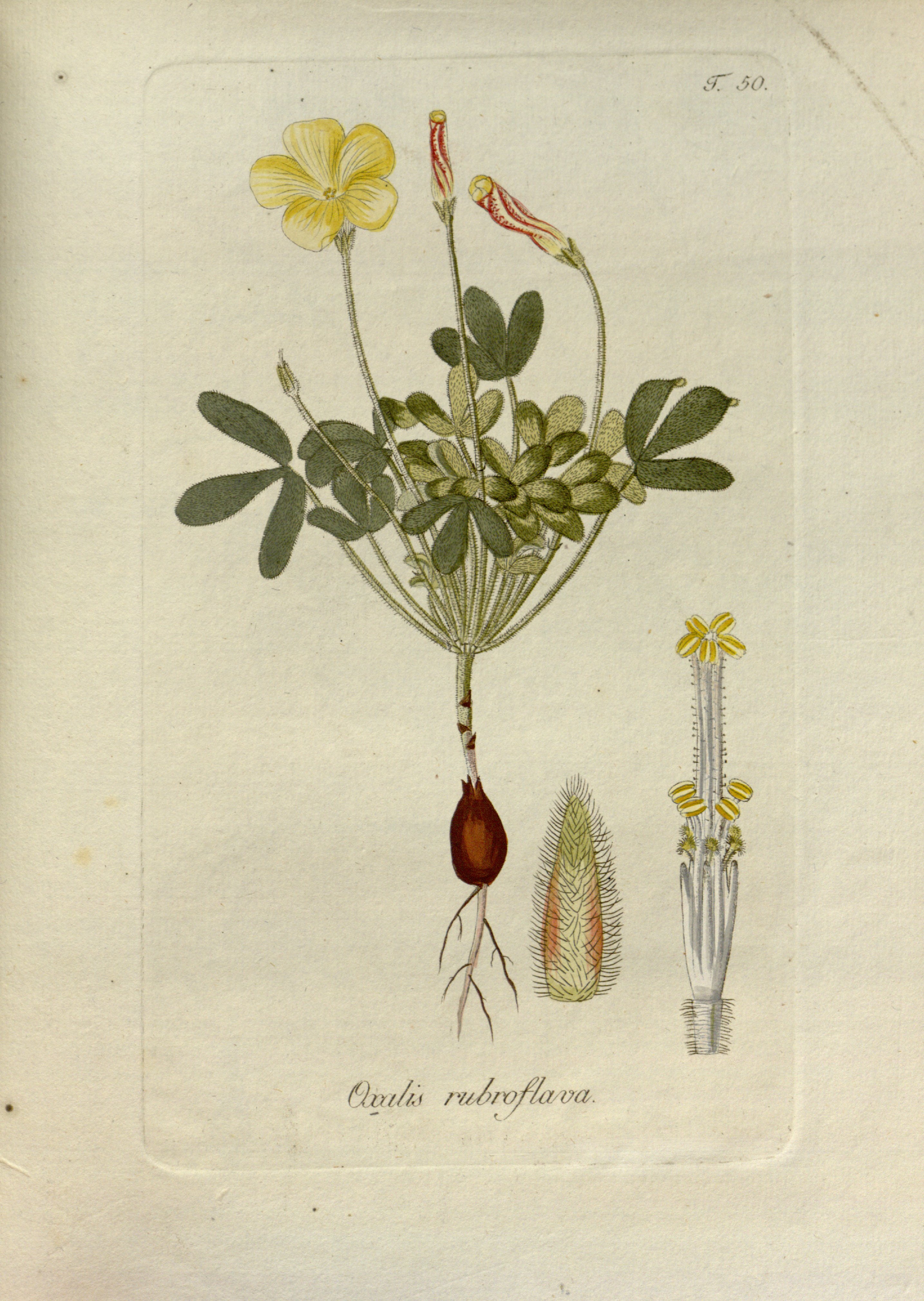 no full size  illustration available (3a)