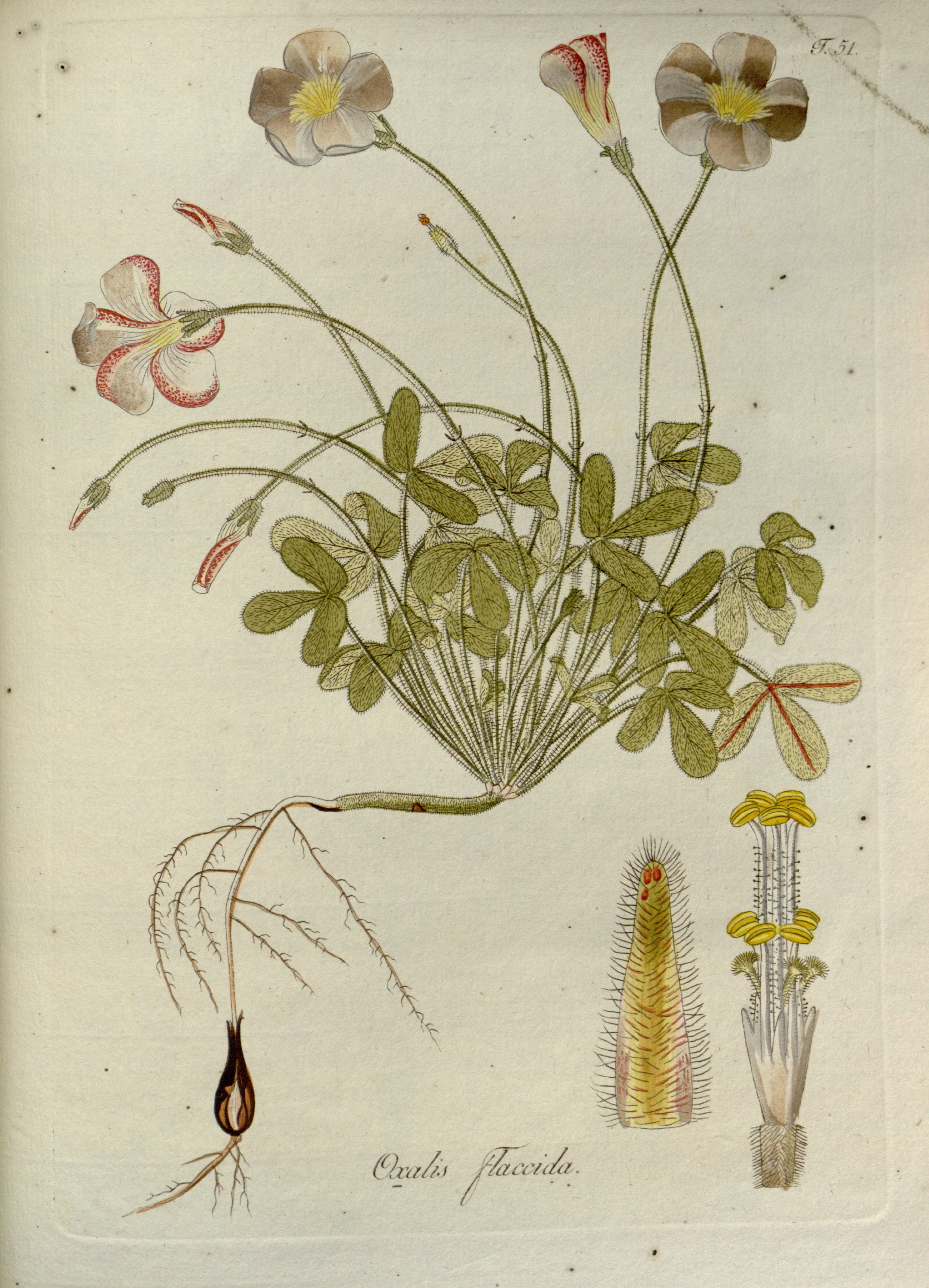 no full size  illustration available (3a)