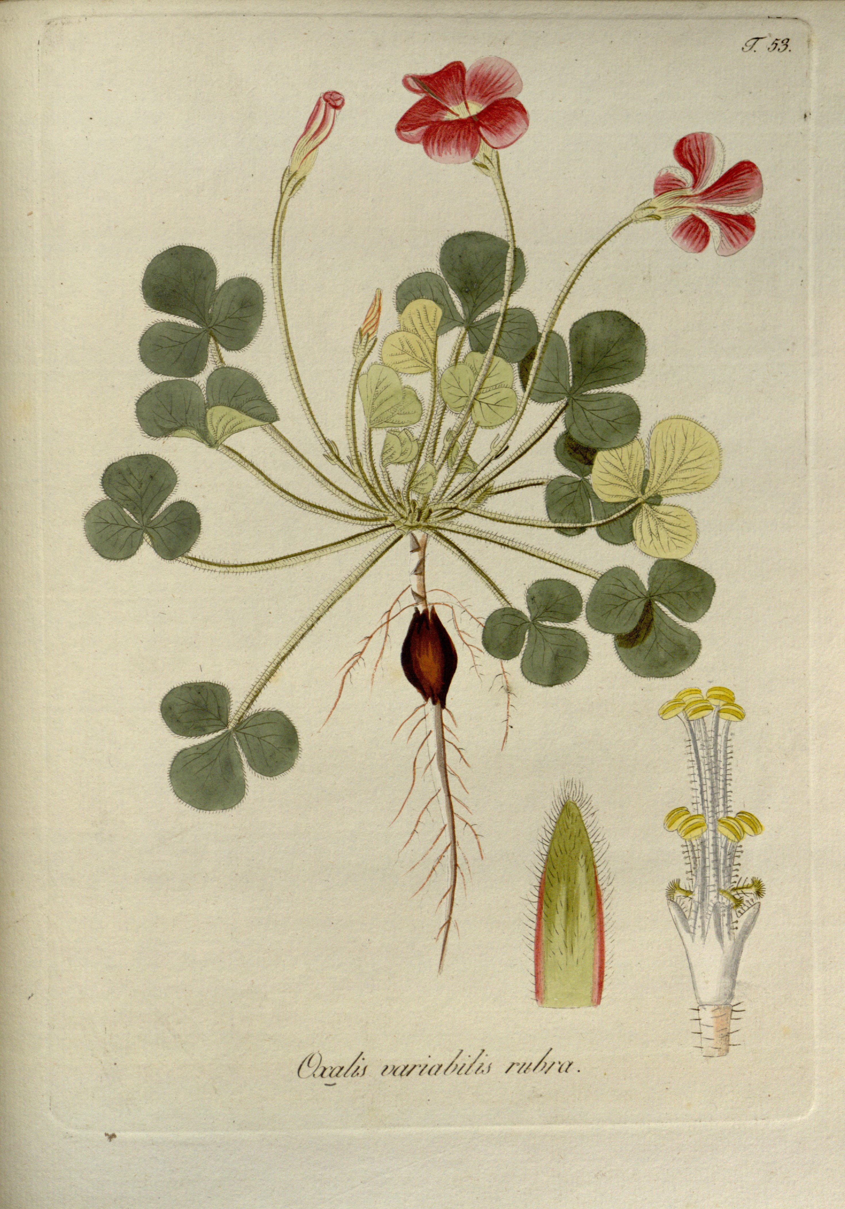 no full size  illustration available (3a)