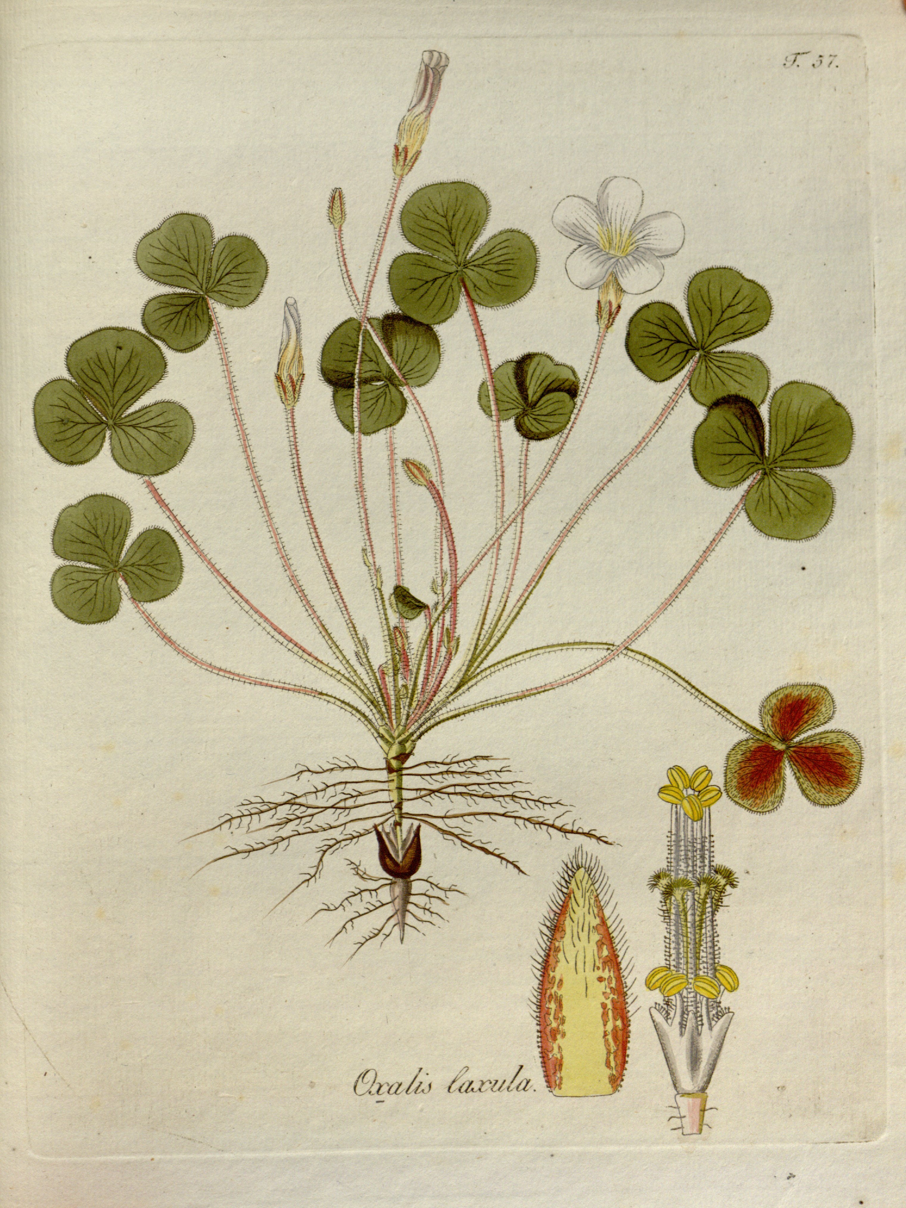 no full size  illustration available (3a)